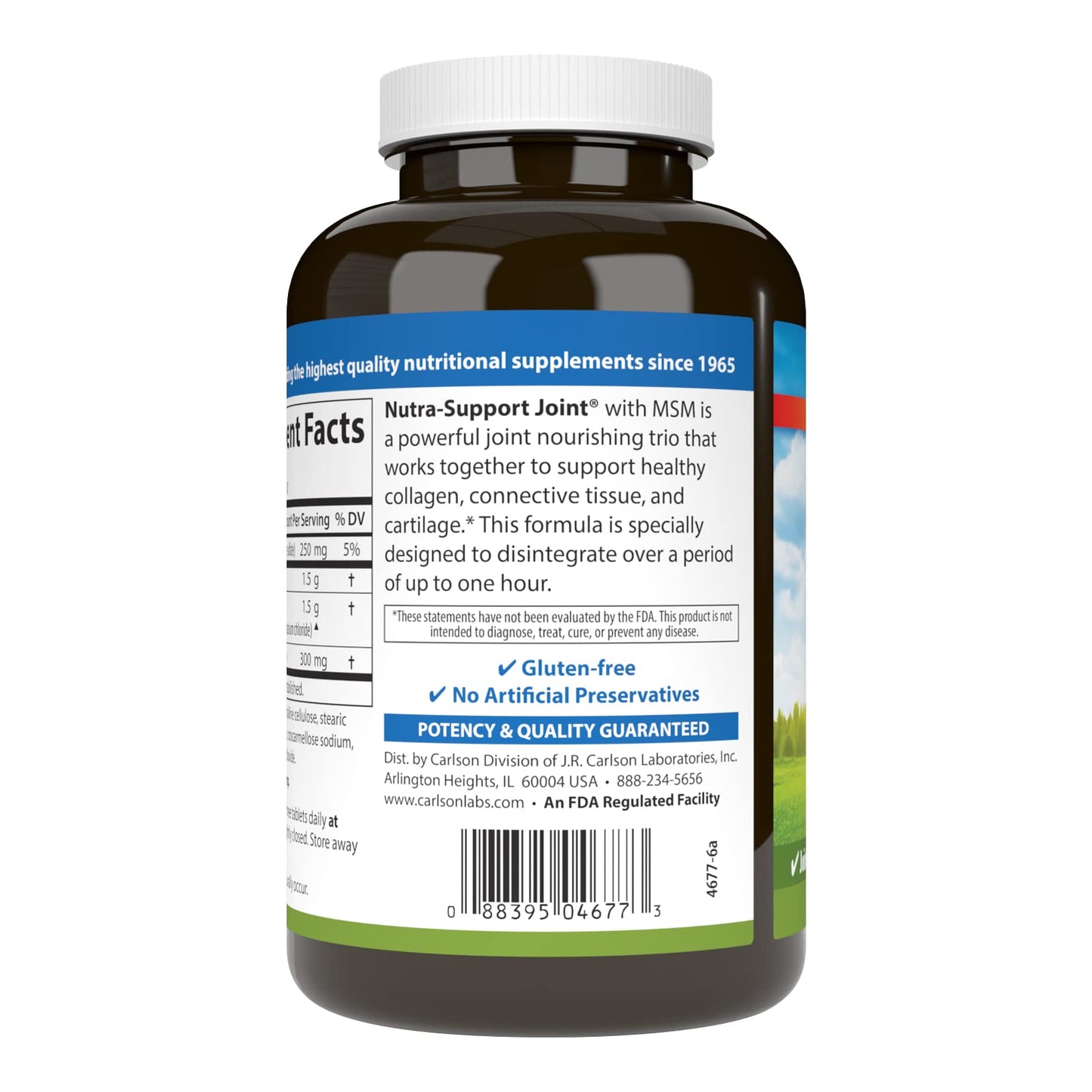 Carlson Glucosamine Chondroitin & MSM 120 Tablets