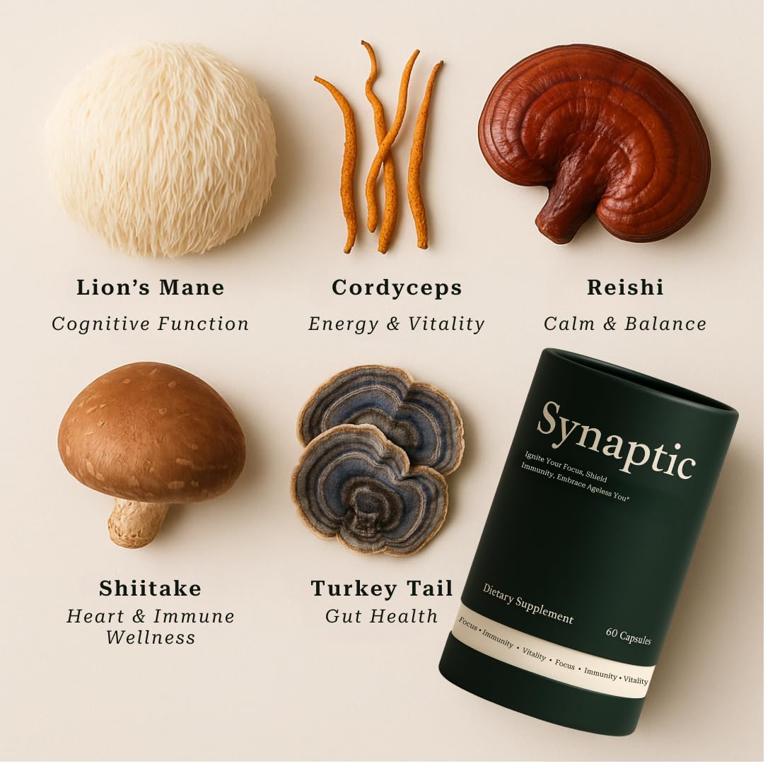Holist Synaptic Lion’s Mane Mushroom Supplement Capsules, 60 Capsules