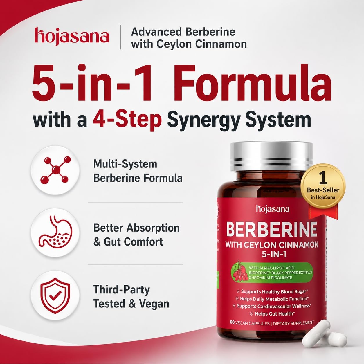 HojaSana 5-in-1 Berberine Complex 500mg with Ceylon Cinnamon Capsules, 60 Count