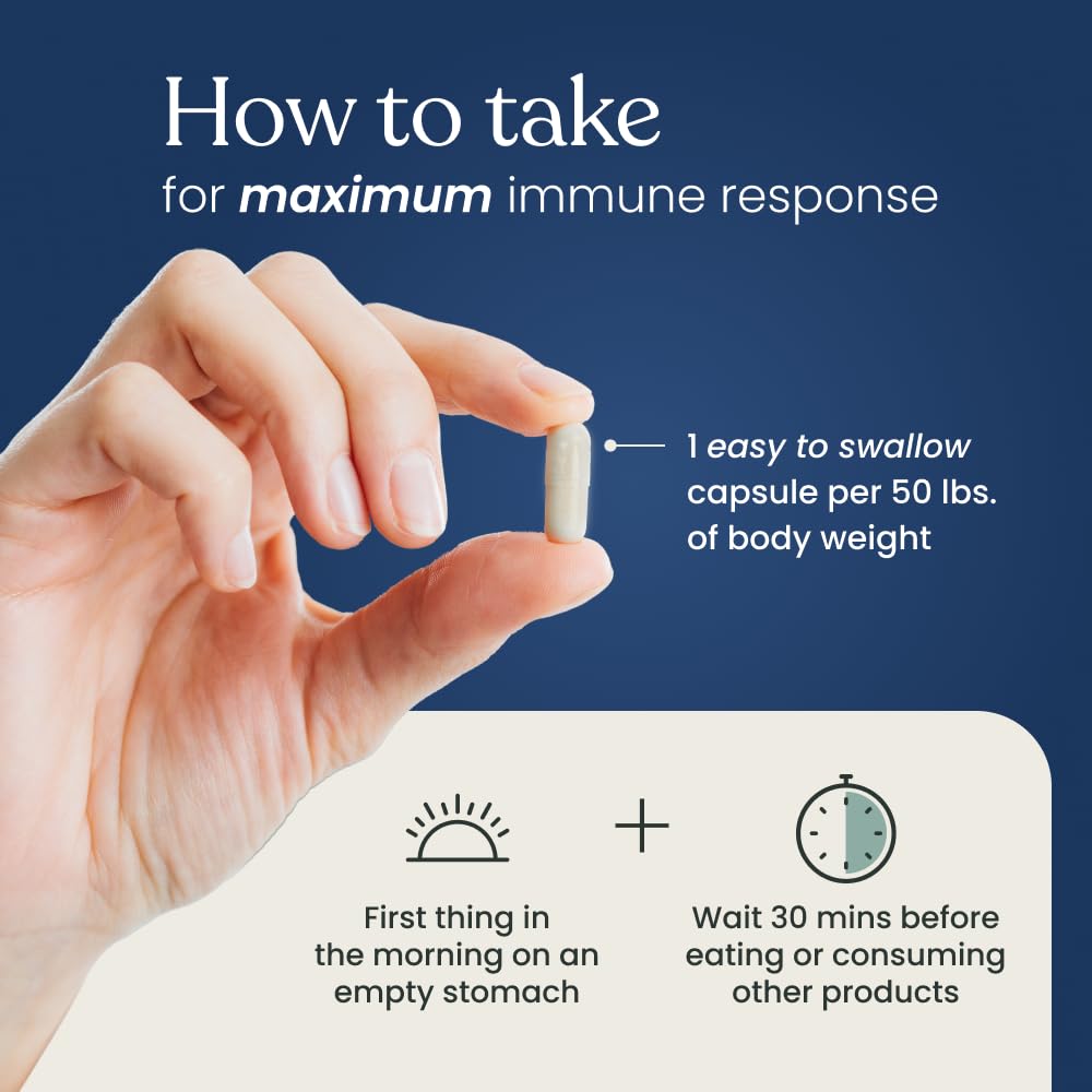 Better Way Health Advanced Immune Readiness Highly Purified 1,3/1,6 Beta Glucan 500mg Capsules 60
