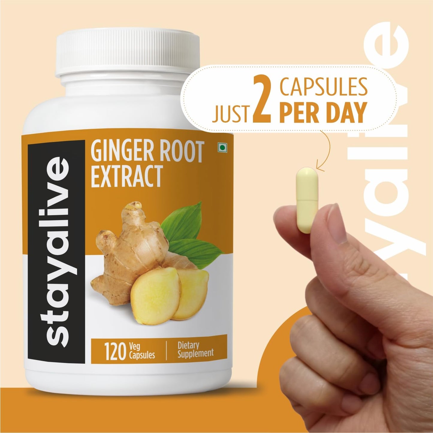 STAY ALIVE Ginger Root Capsules 1000mg 10:1 Extract Powder with 5% Gingerols, 120 Capsules