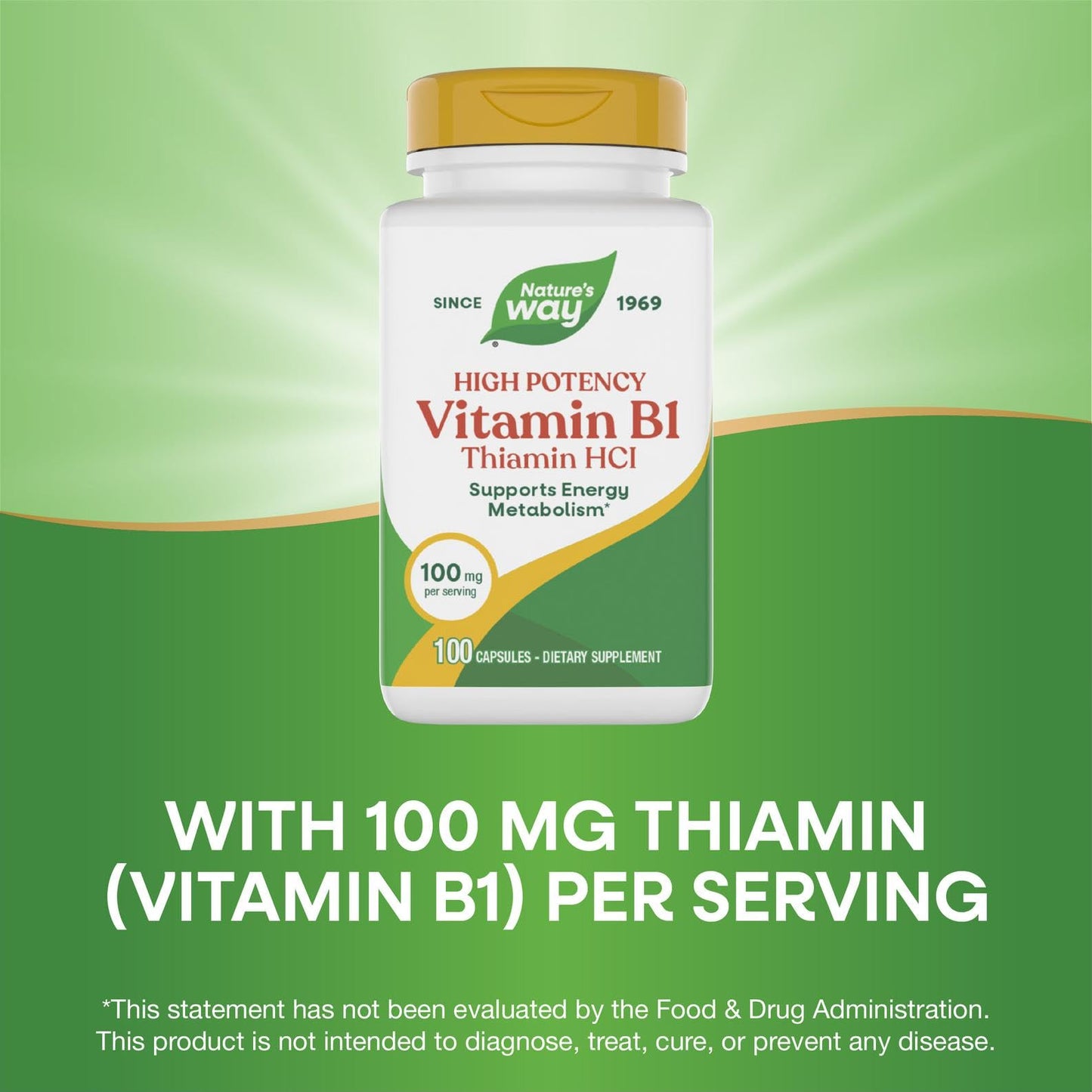 Nature's Way Vitamin B1 Capsules 100