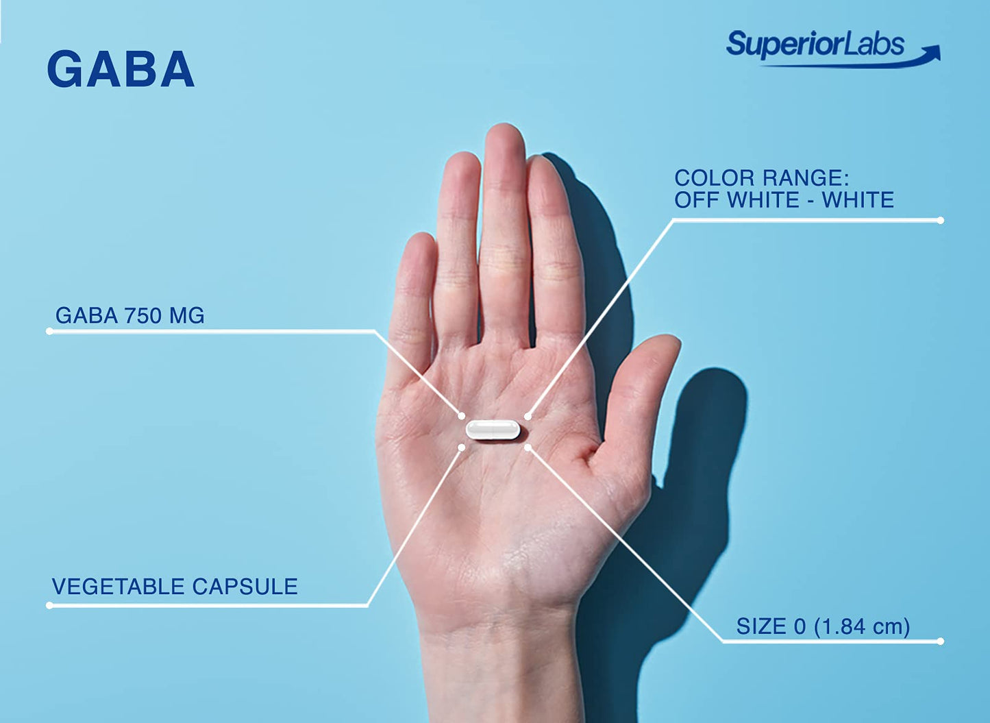 Superior Labs GABA Supplement 750mg Maximum Strength Mood Enhancement Capsule, 100 Capsules