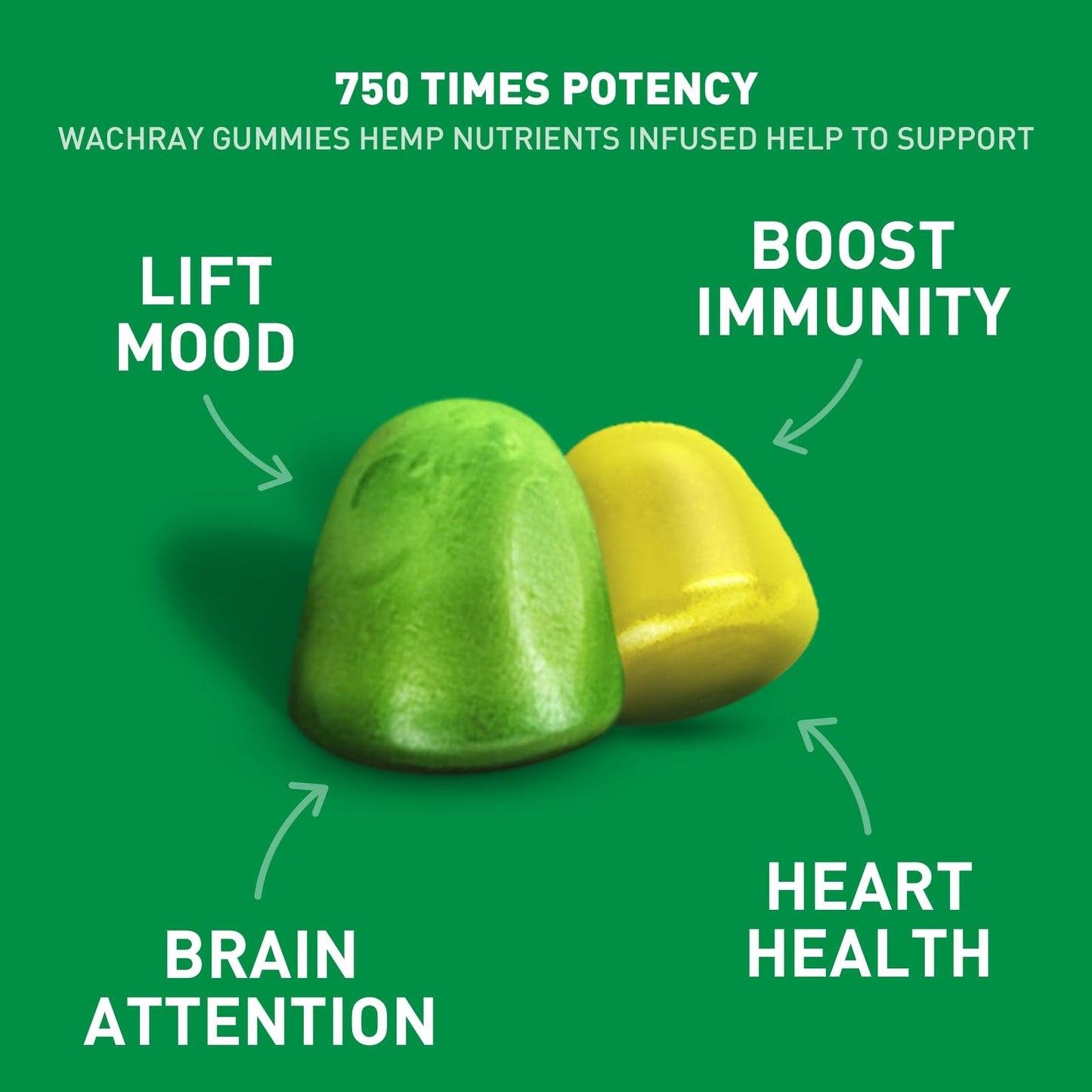 WACHRAY Nutrition Organic Hemp Gummies 7,500,000 High Strength Hemp Oil Infused, 240 Gummies