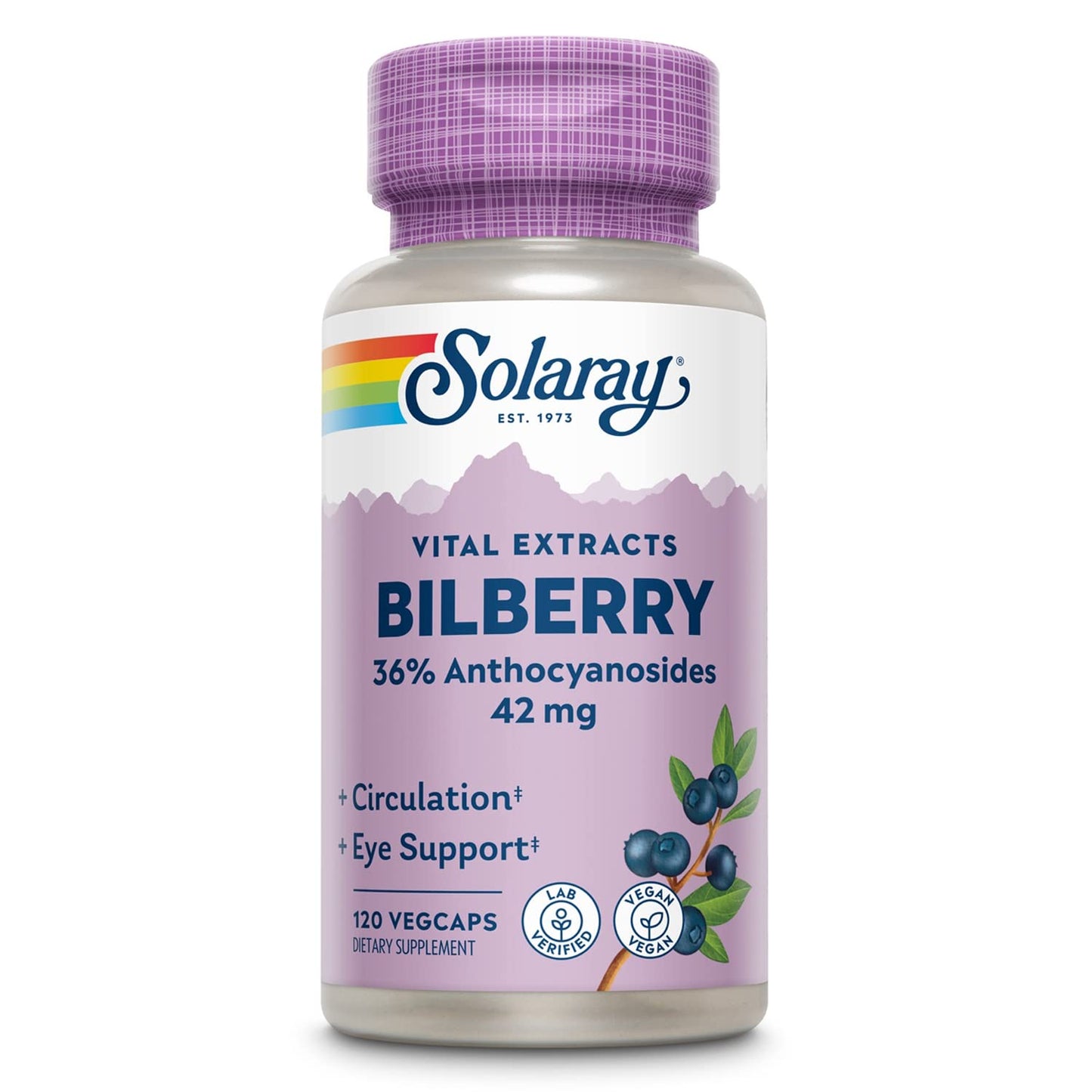 Solaray Bilberry Berry Extract 42 mg Eye Health & Circulation Support with 36% Anthocyanosides, Vegan, 120 VegCaps