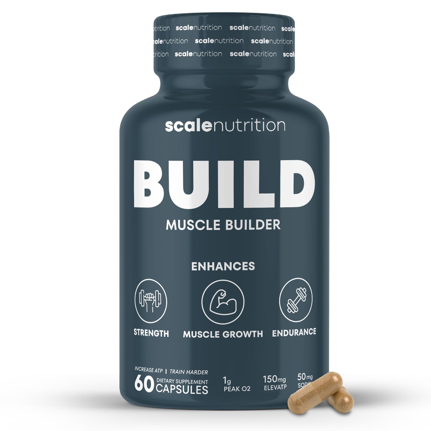 Scale Nutrition Build - Muscle Builder Supplement for Muscle Growth, Strength, Weight Gain, Endurance & Performance Enhancement for Men & Women - 60 Capsules