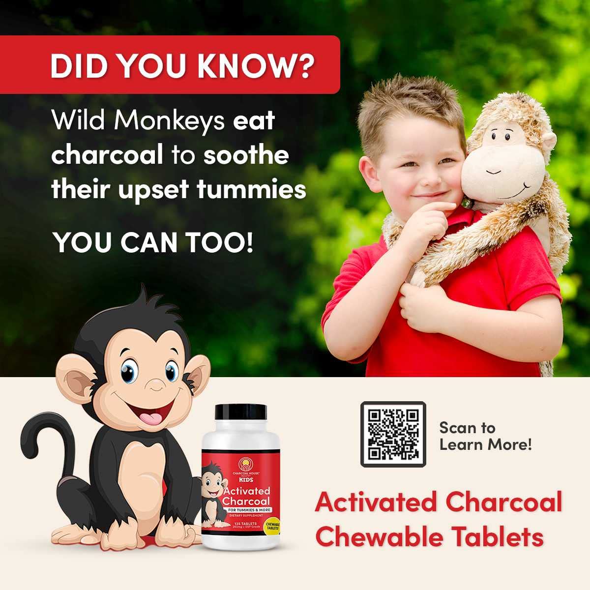 Charcoal House Chewable Activated Charcoal Tablets for Kids, 135 ct