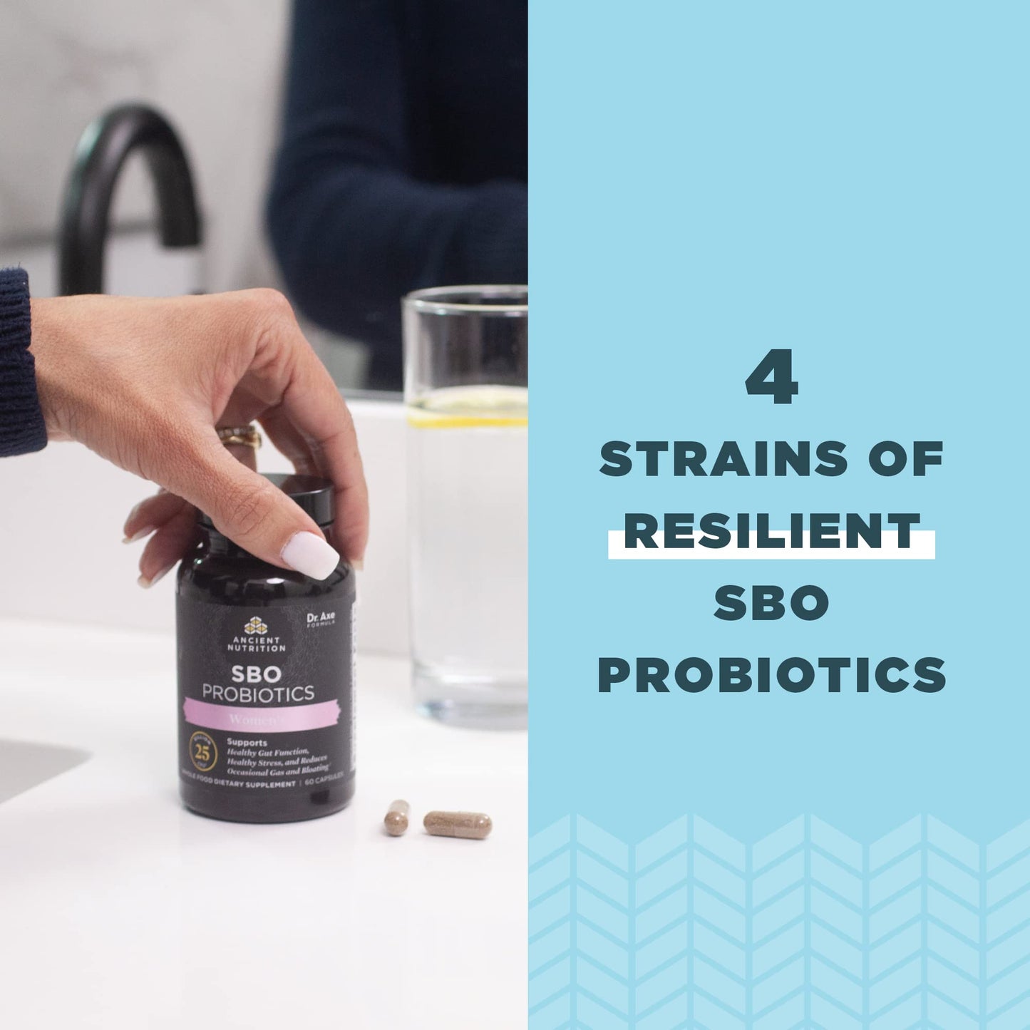 Ancient Nutrition Probiotics for Women SBO Probiotics Women's Capsule 60 Count