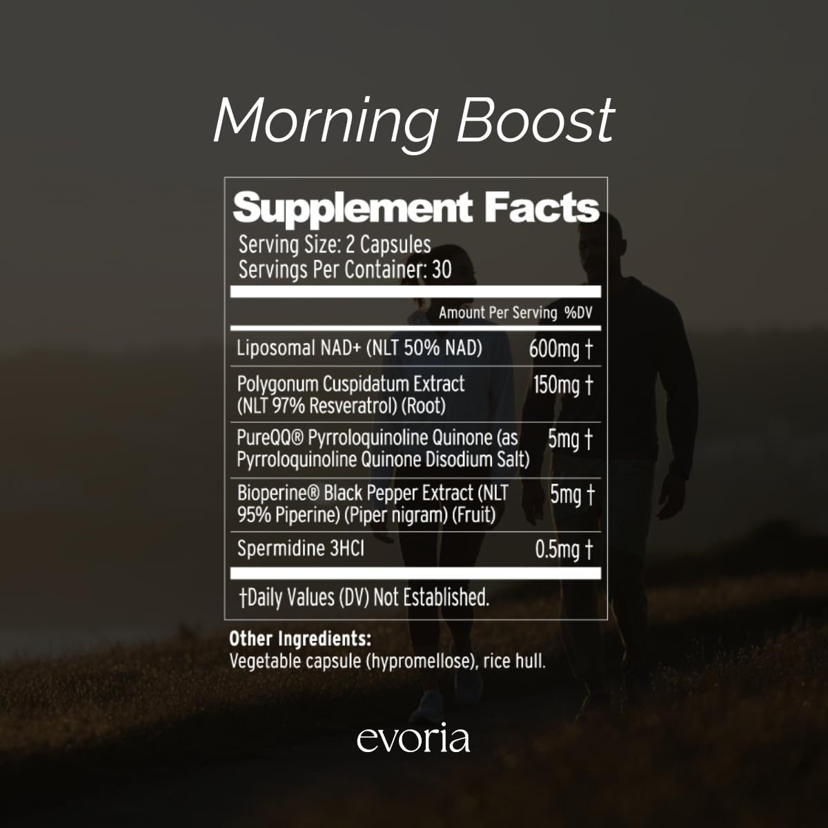 Evoria Health Morning Boost Capsules, 60 Count