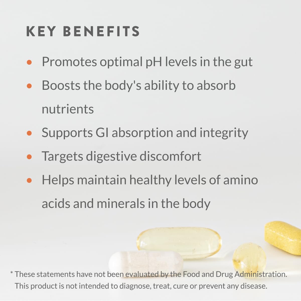 Holistic Health VitaOrgan GI Absorption & Integrity 30 Capsules