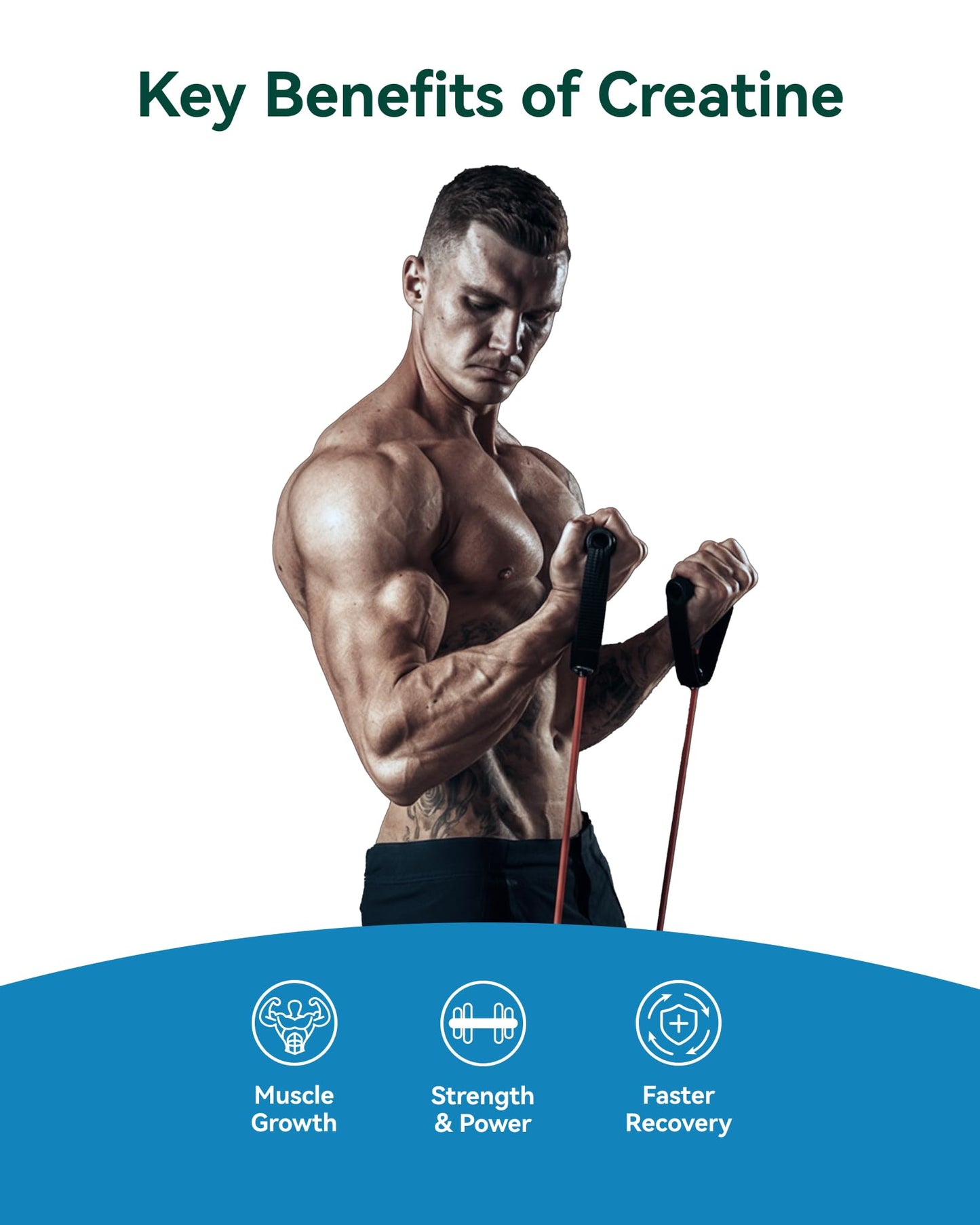 Inner Brightness 600-Mesh Micronized Creatine Monohydrate Powder 17.64
