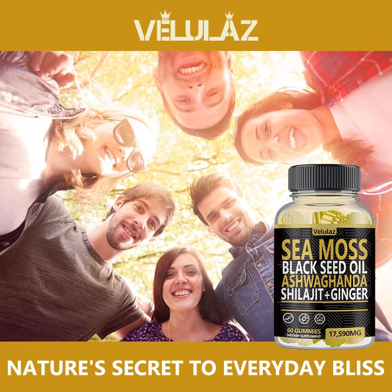 Velulaz Sea Moss & Herbal Gummies with Ginger, Black Seed Oil, Ashwagandha, Shilajit, Elderberry, Chlorophyll, Turmeric, Bladderwrack, 60 Gummies