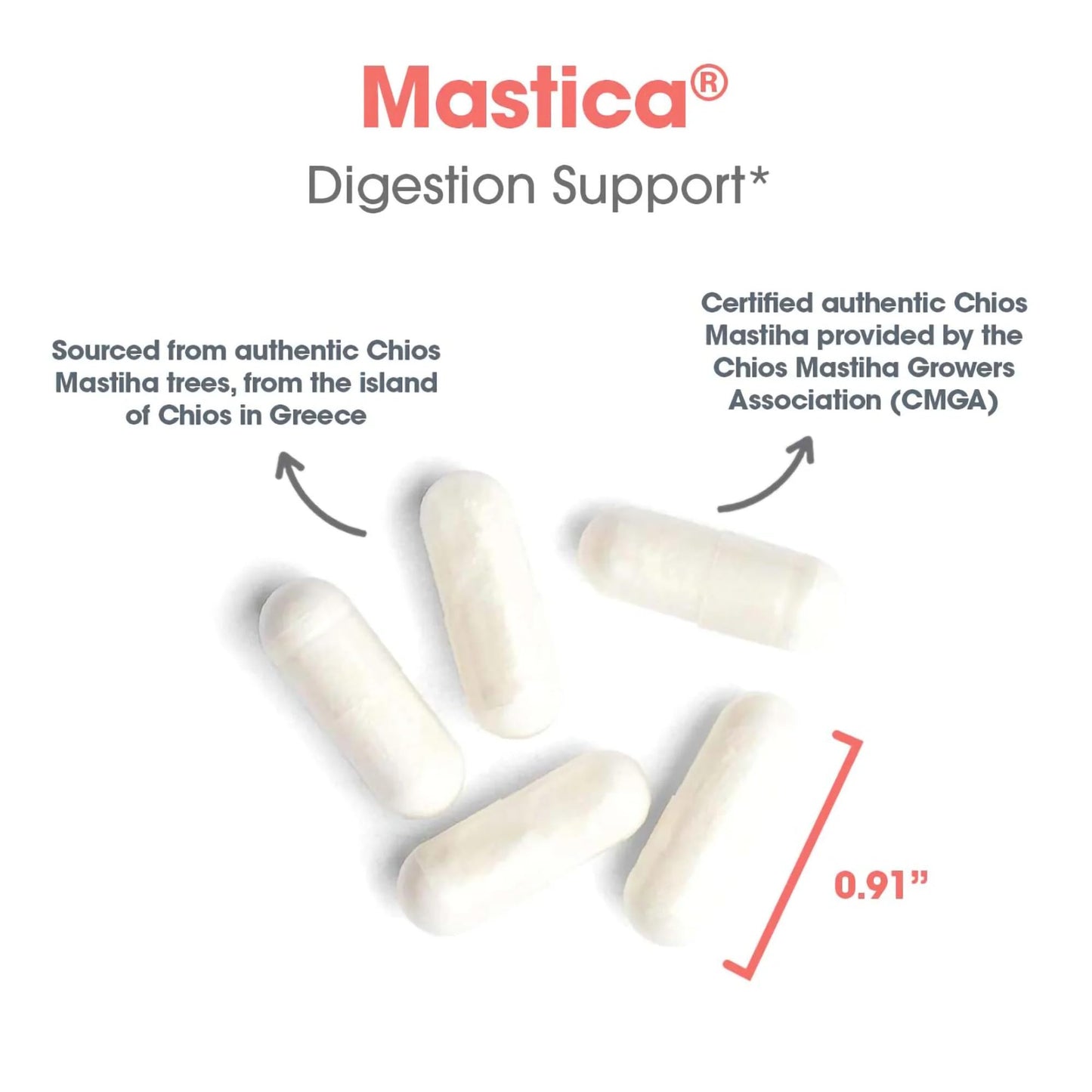 Allergy Research Group ARG Mastica Digestive Support Capsule 60 Capsules