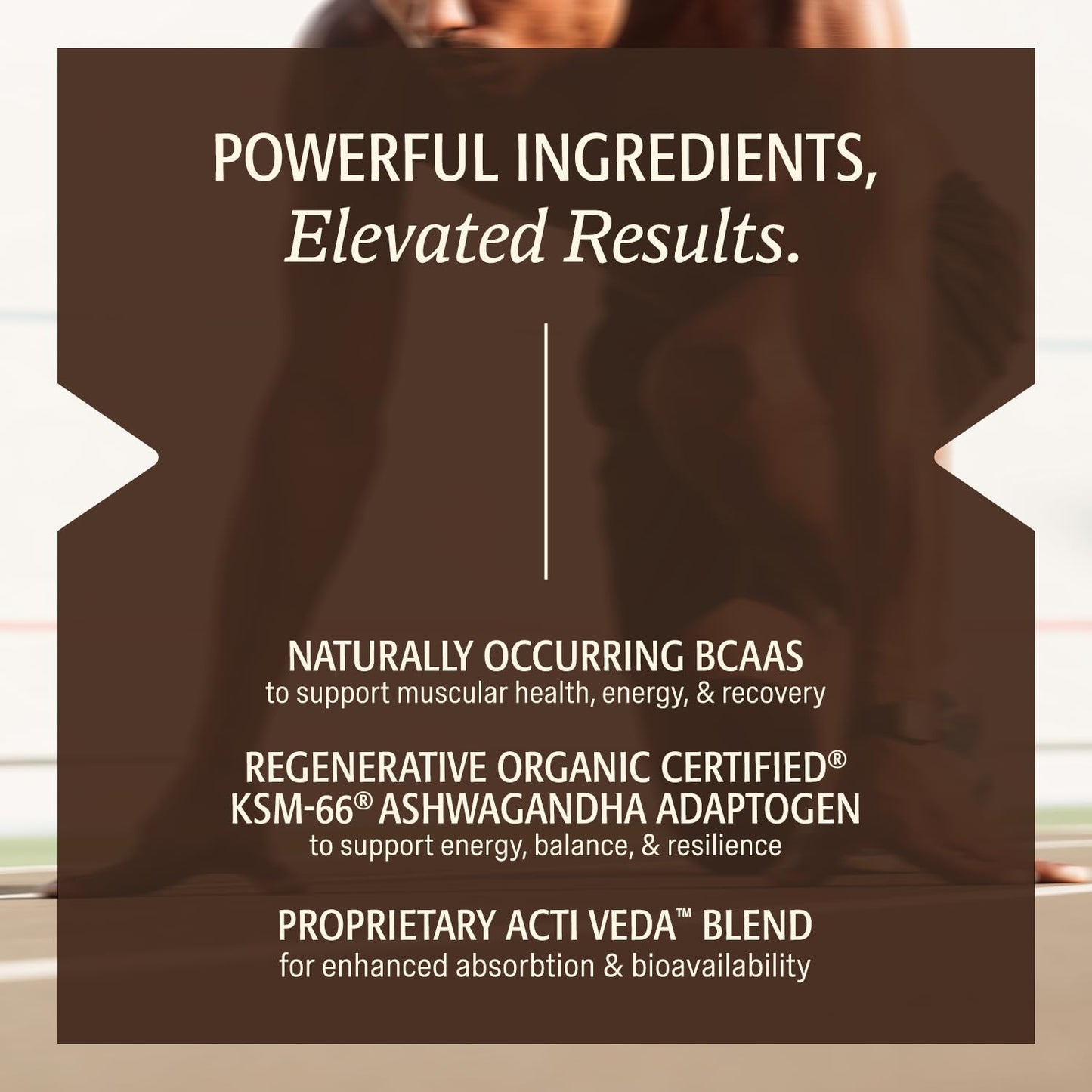 ELEVATE ORGANIC Men's Grass-Fed A2 Regenerative Whey Protein Powder, Chocolate, 1.33 lb