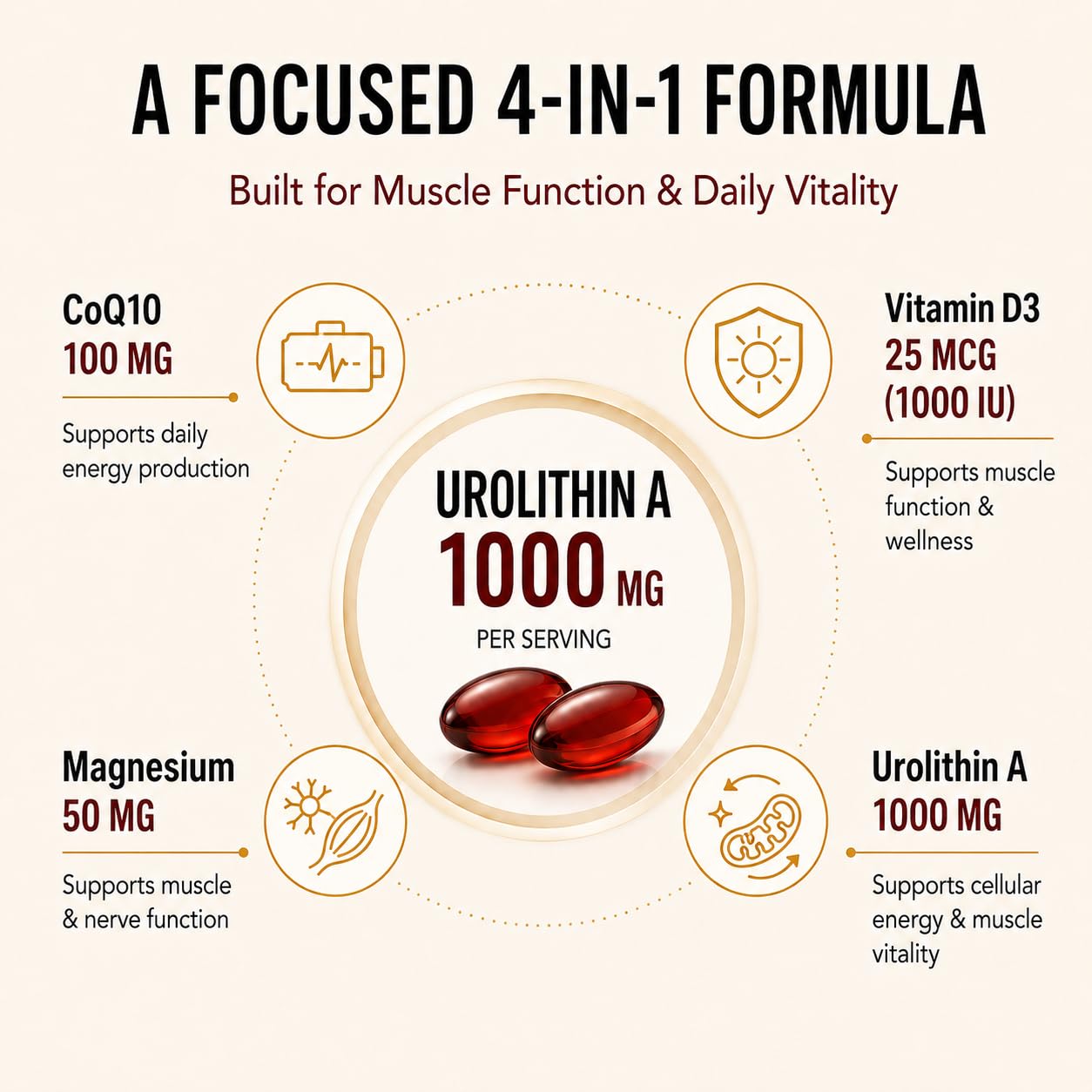 Urothyxen Urolithin A Supplement Mitochondrial Support Focus & Muscle Recovery for Men and Women Softgels 240