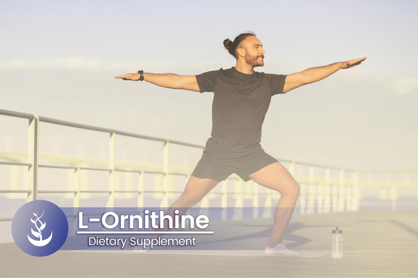 Pure Original Ingredients L-Ornithine 100 Capsules