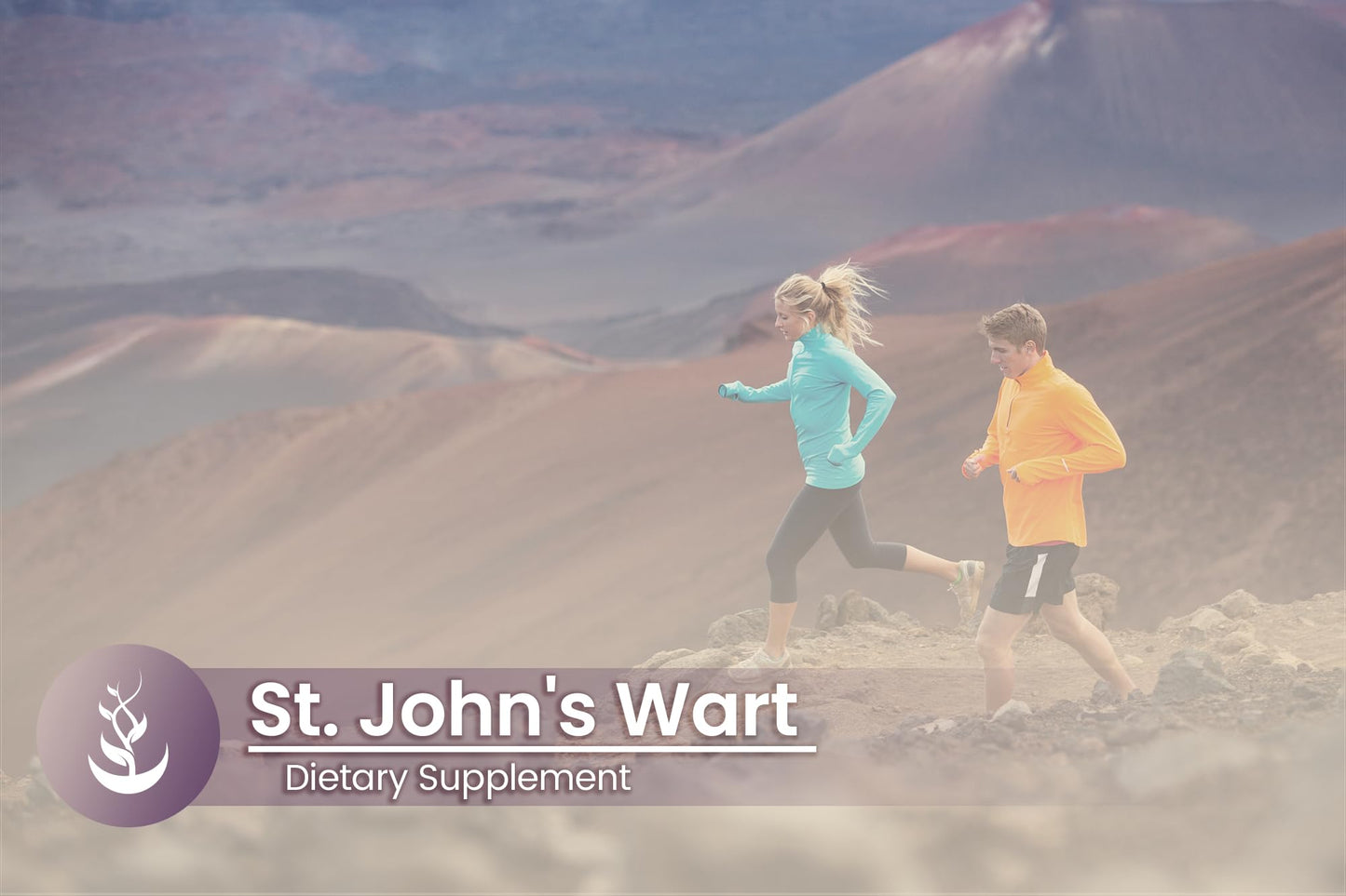 PURE ORIGINAL INGREDIENTS St. John's Wort Capsules, 100 Count