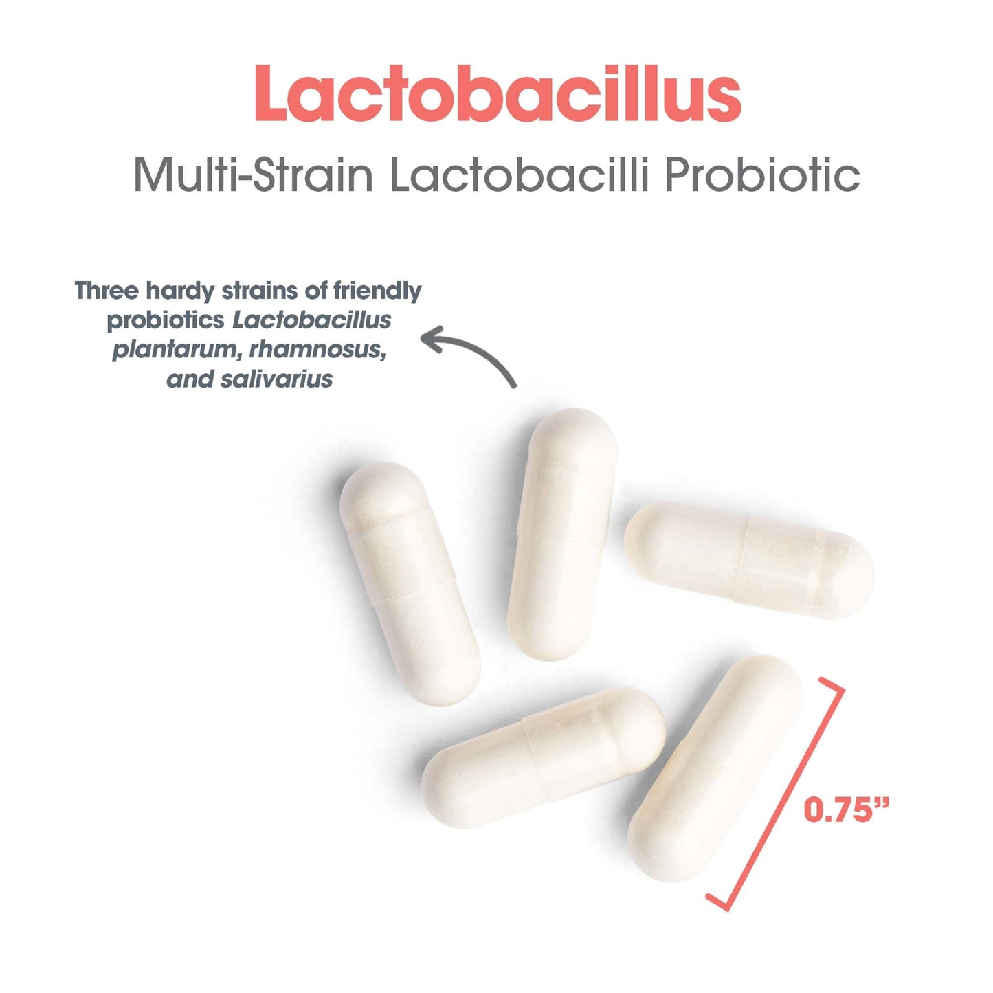 Allergy Research Group Lactobacillus Supplement Capsule 100 Count