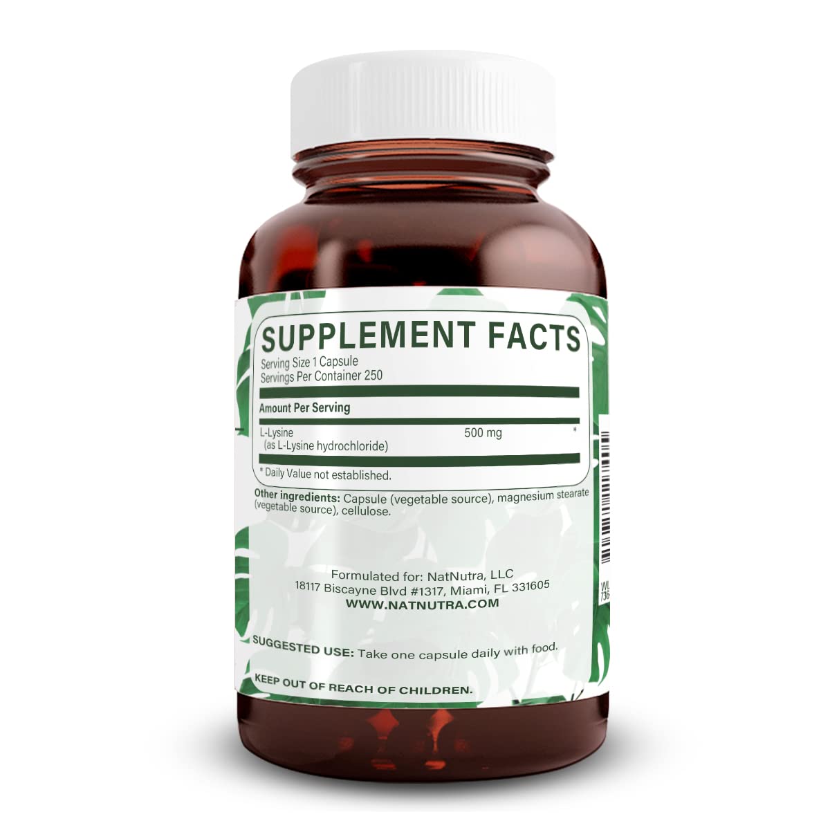 Natural Nutra L Lysine HCl Capsules, 250 Count