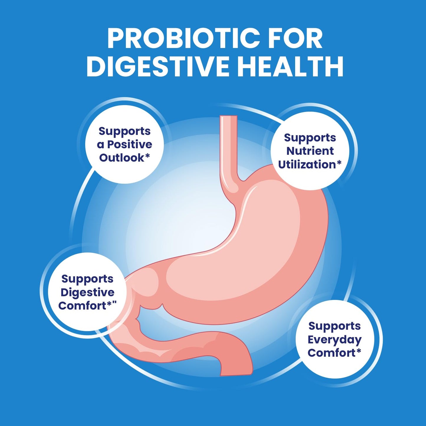 Indelo Metabolyn Digestive Support Gut Wellness Capsules, 300 Capsules