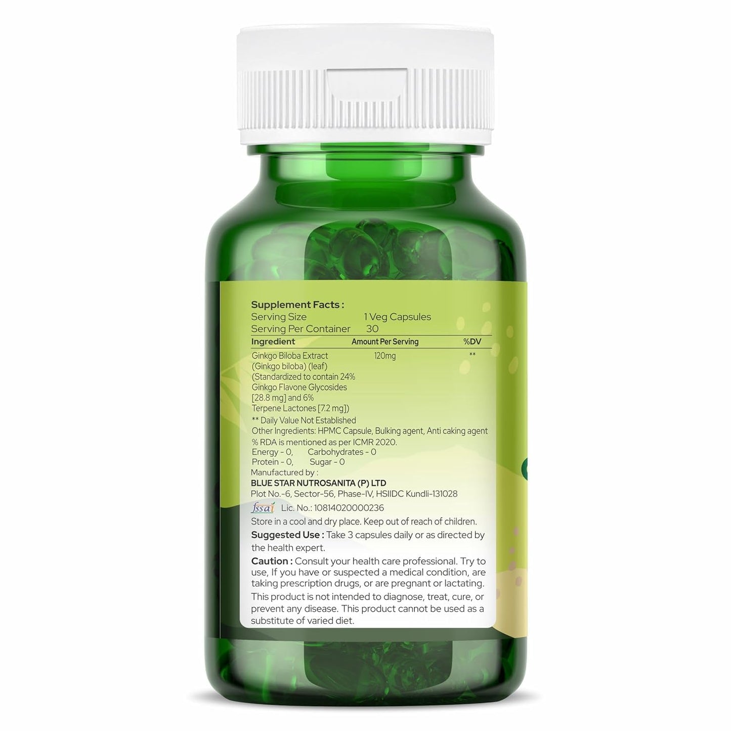 ORGANIC ZING Ginkgo Biloba Extract 120 mg Capsule, 30 Capsules