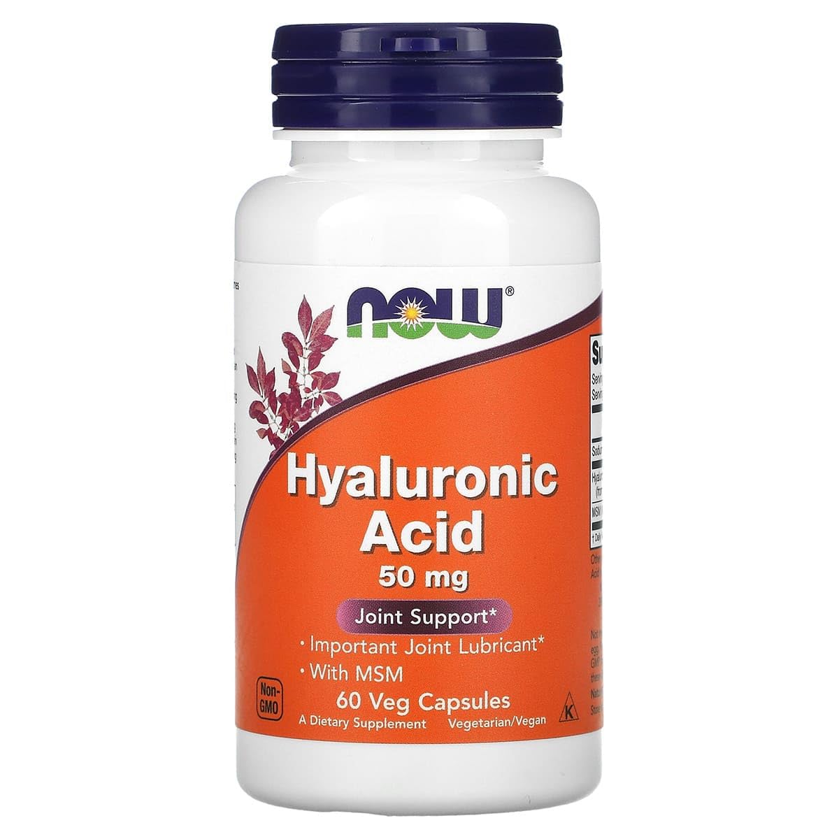 NOW Foods Hyaluronic Acid with MSM Capsule 60 Count