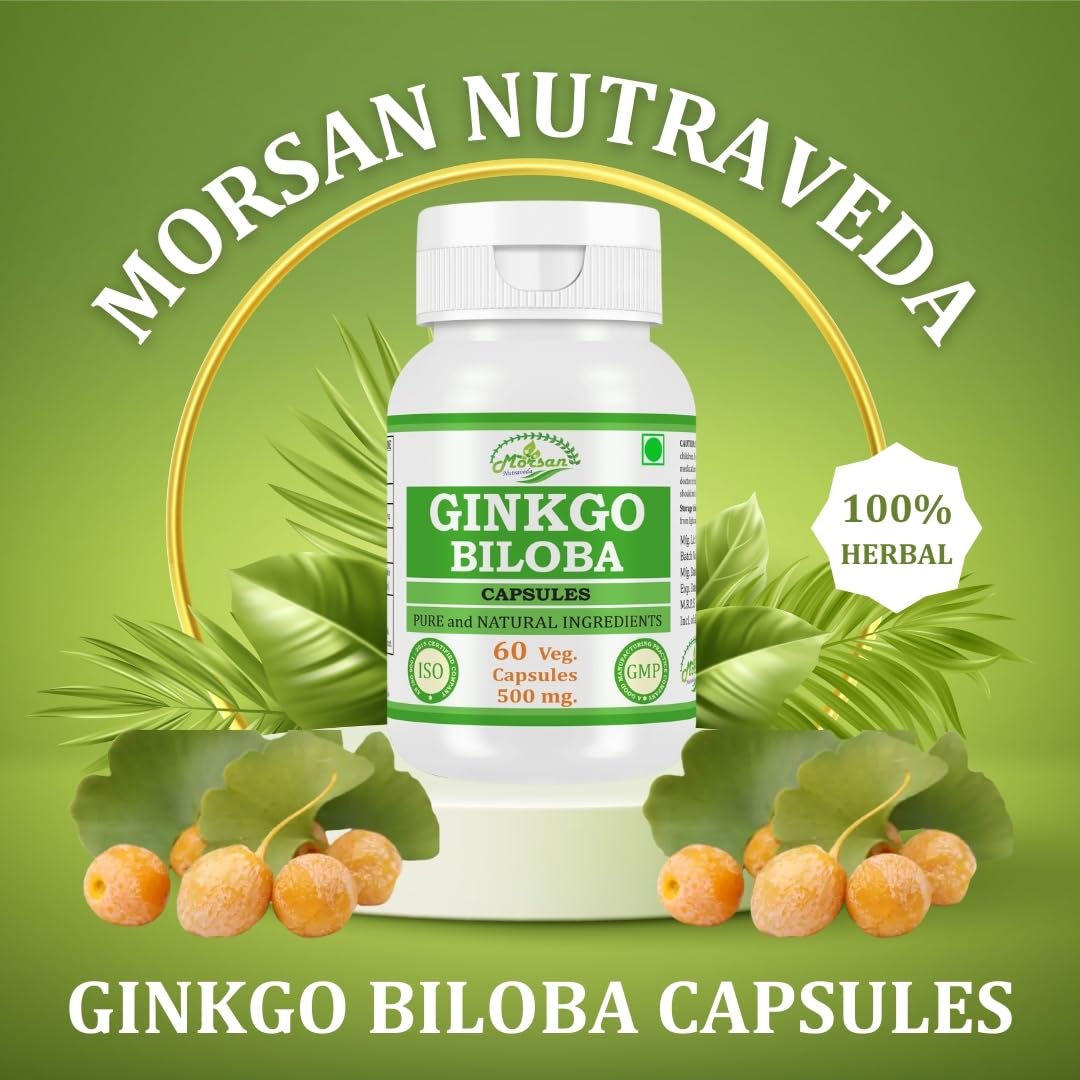 Morsan Nutraveda Ginkgo Biloba Capsules 500 mg, 240 Count