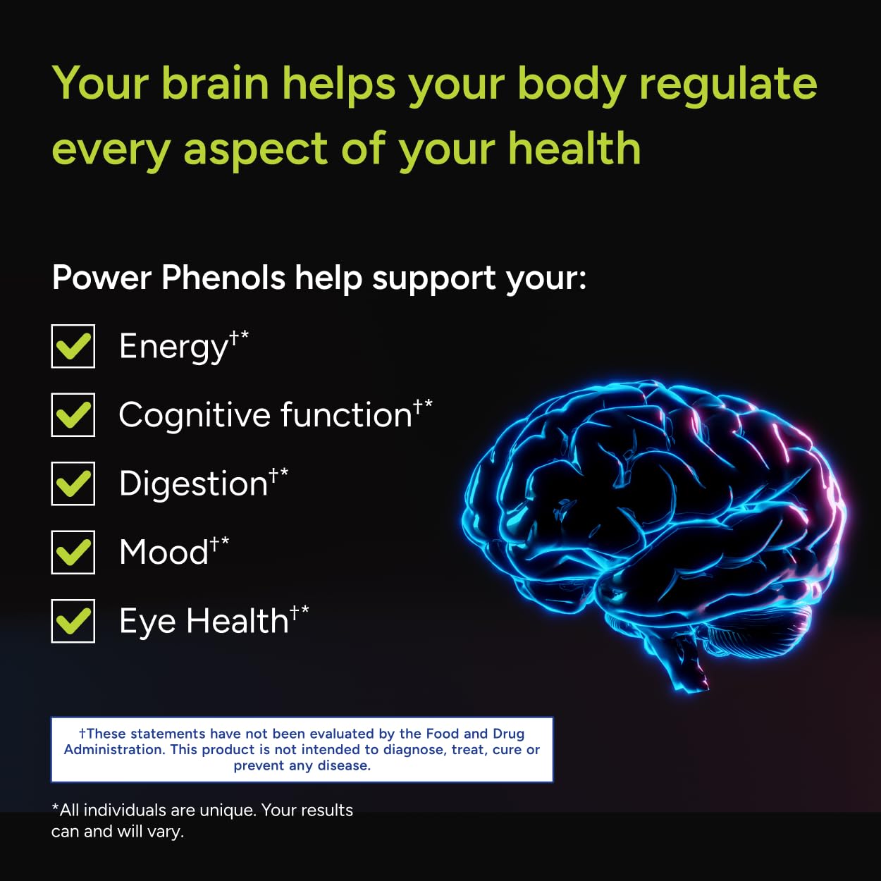 Gundry MD Power Phenols Brain Health & Energy Supplement, 30 Capsules