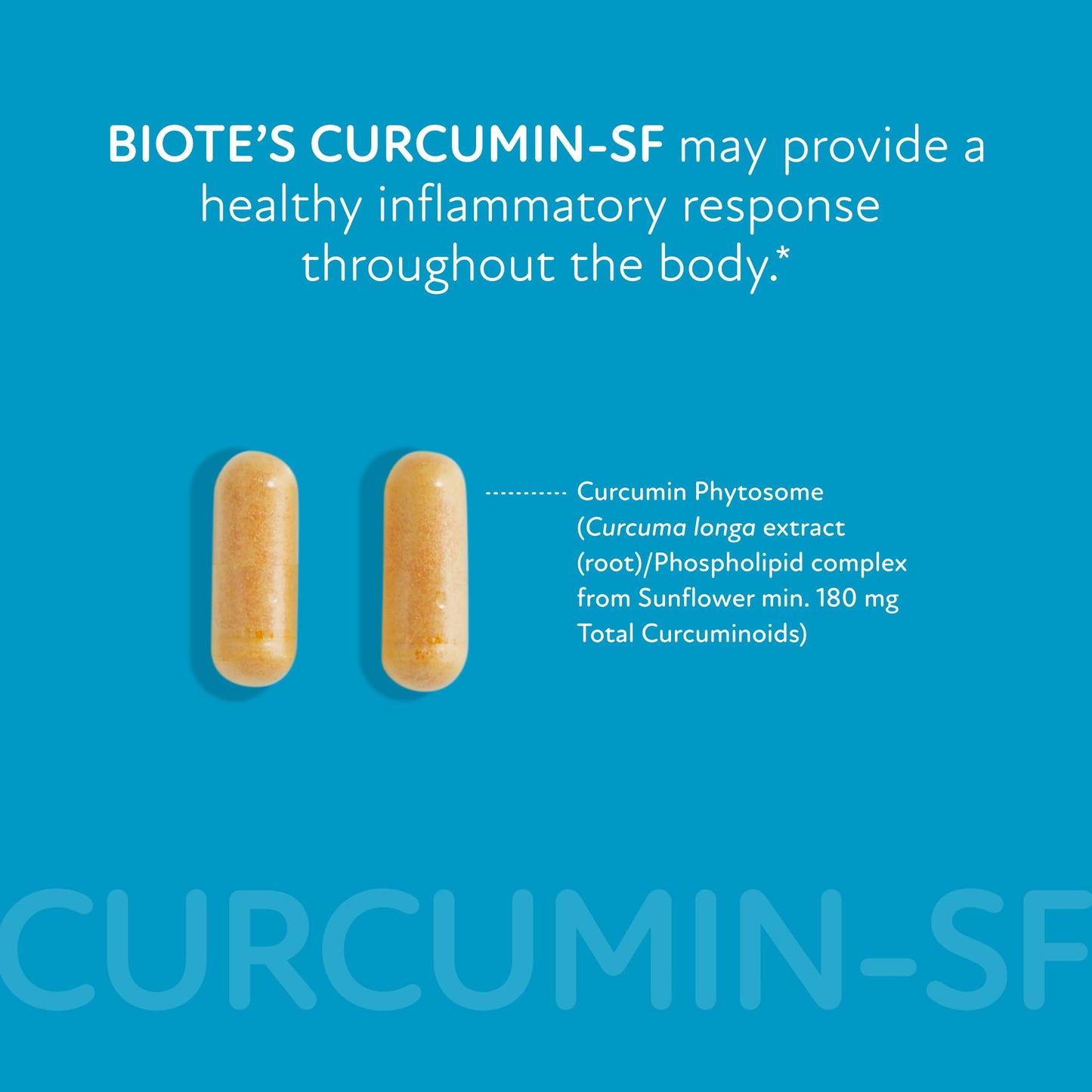 Biote Curcumin SF Circulation + Healthy Aging Caplets 60