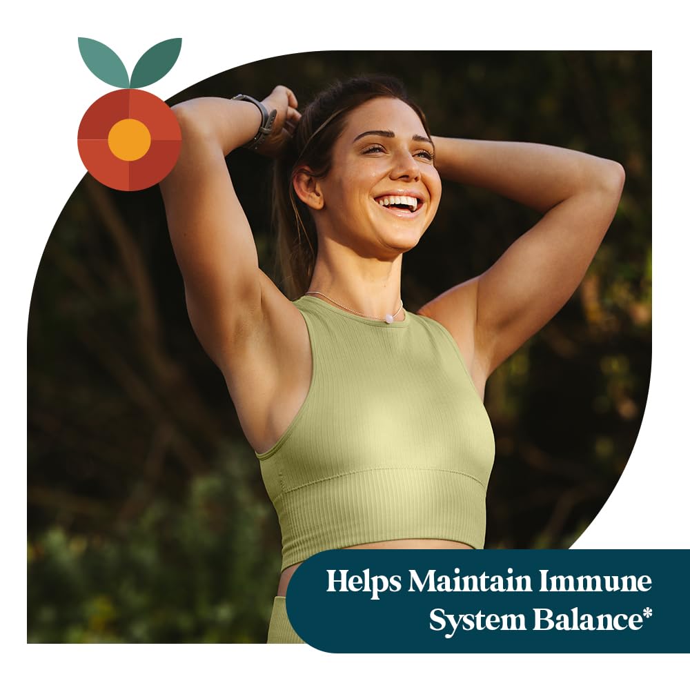 Pattern Wellness Lion’s Mane Mushroom Supplement Capsules 90 Capsules