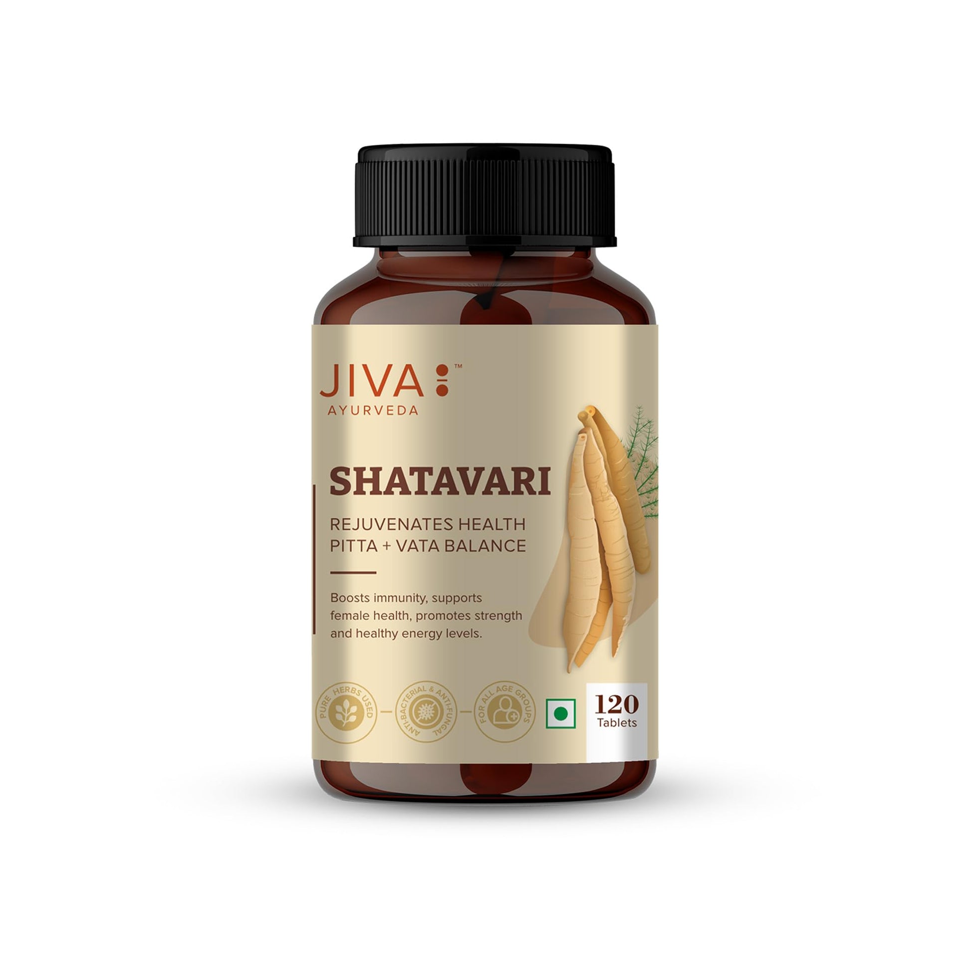 Jiva Ayurveda Shatavari Tablets, 120 Tablets