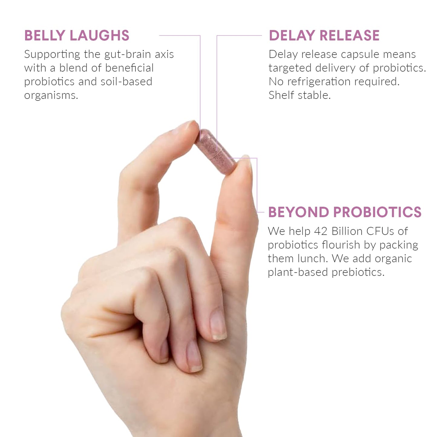 Nutritional Roots Probiotics + Soil-Based Organisms + Prebiotics with Digestive Enzymes Delay Release Dietary Supplement Capsules, 30 Count