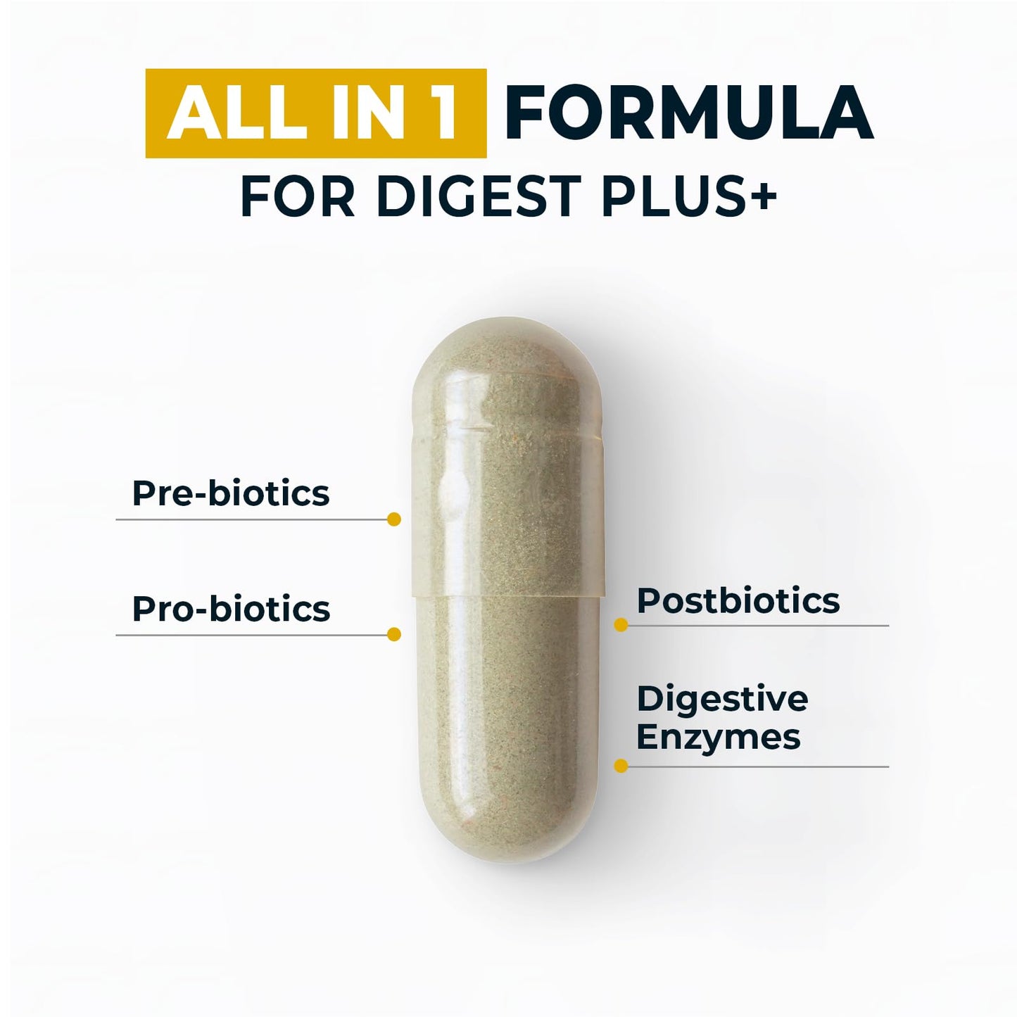 Divinity Nutra 4-in-1 Prebiotic Probiotic & Postbiotic for Women & Men Digestive Support Capsules 60 Count