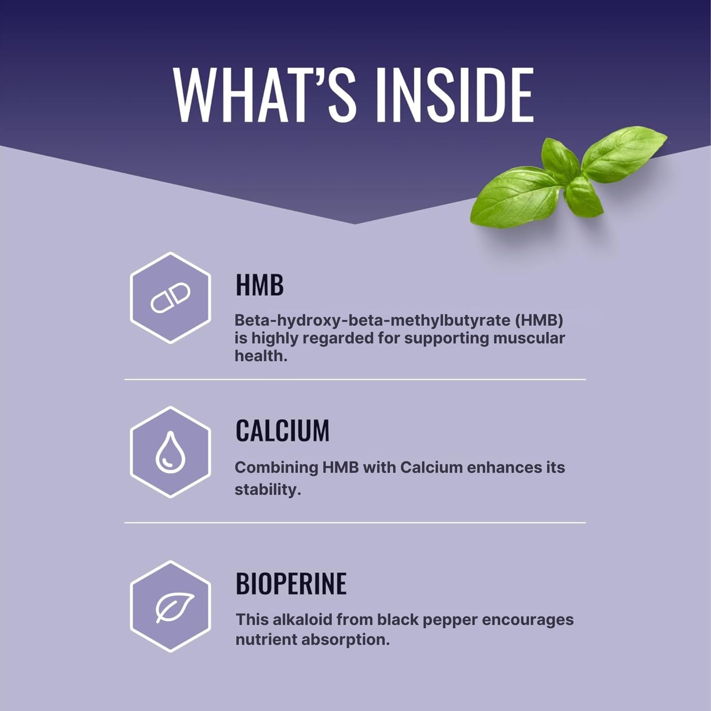 Approved Science HMB 1500mg High Potency HMB Supplement with Calcium & BioPerine for Absorption, 60 Capsules