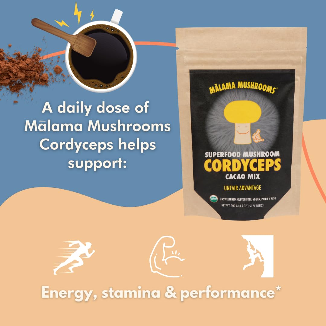 Malama Mushrooms Organic Mushroom Hot Cacao Mix with Cordyceps Mushroom Powder, Powder, 3.5 oz