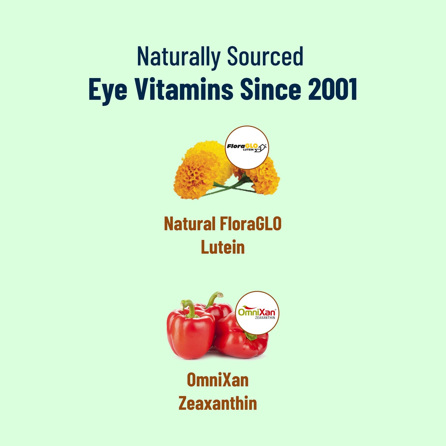 VisiVite Super Lutein 444 Eye Vitamins Capsule 1 Count