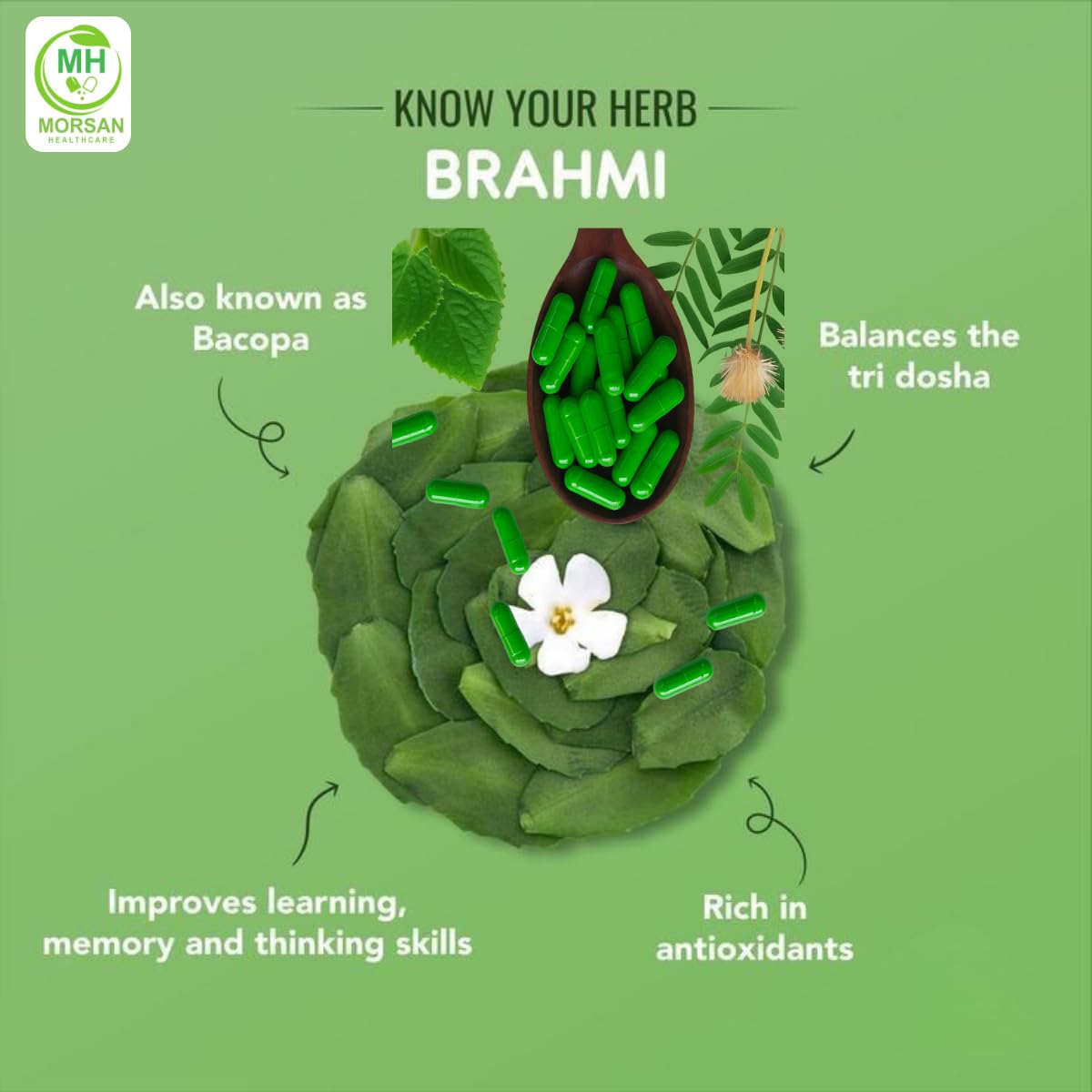 Morsan Healthcare Brahmi Capsules 240