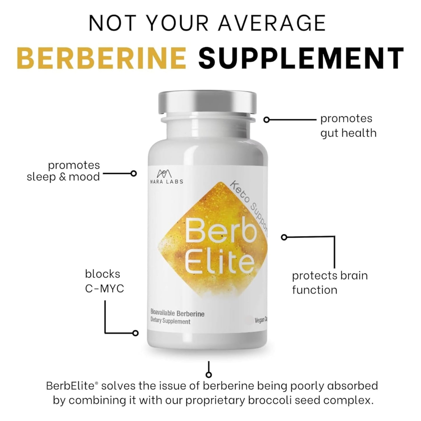 BrocElite BerbElite 350mg Berberine HCl & Broccoli Seed Complex, Capsule, 120 Vegan Capsules