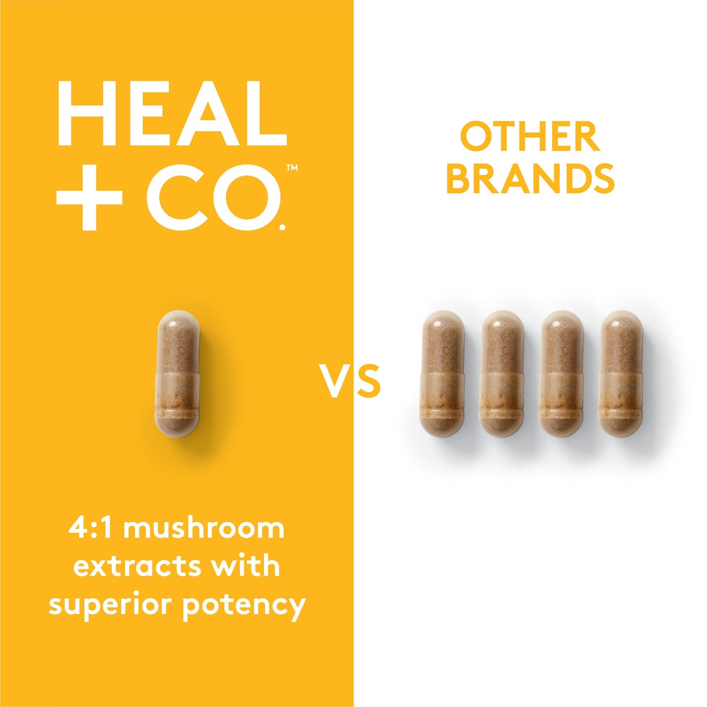 HEAL + CO. Lion's Mane Capsules 120 Count