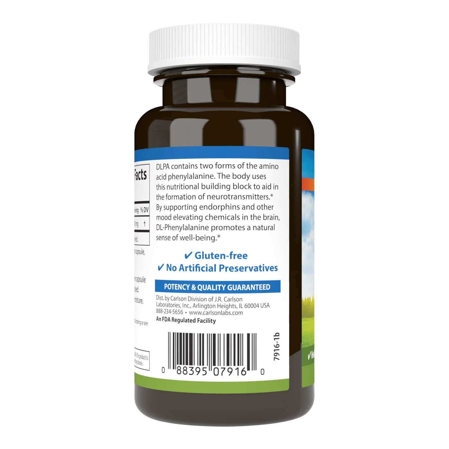 Carlson DLPA DL-Phenylalanine 500 mg Mood, Cognitive & Nervous System Support Supplement, 60 Capsules