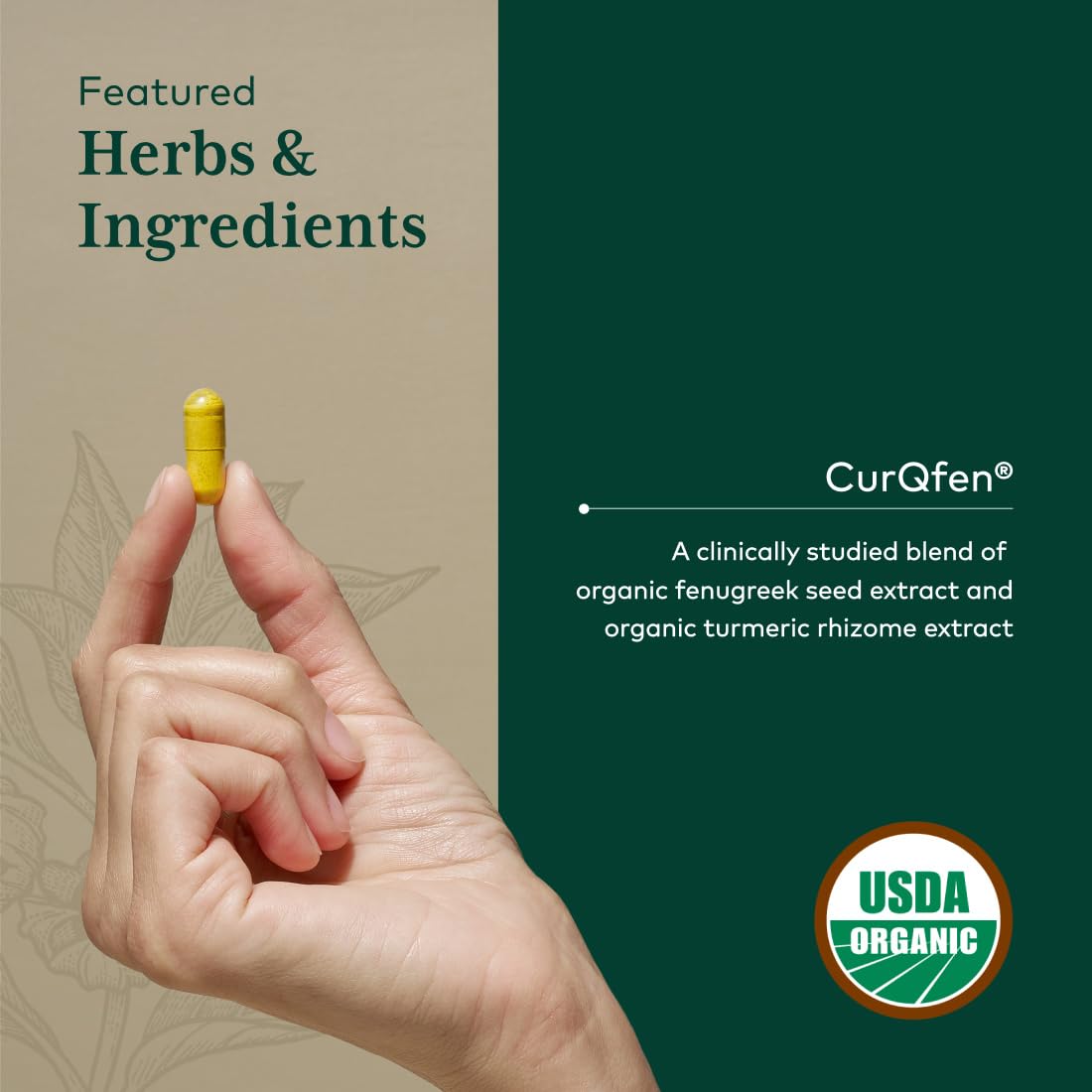 Gaia Herbs PRO Turmeric Fenugreek Complex, 120 Capsules