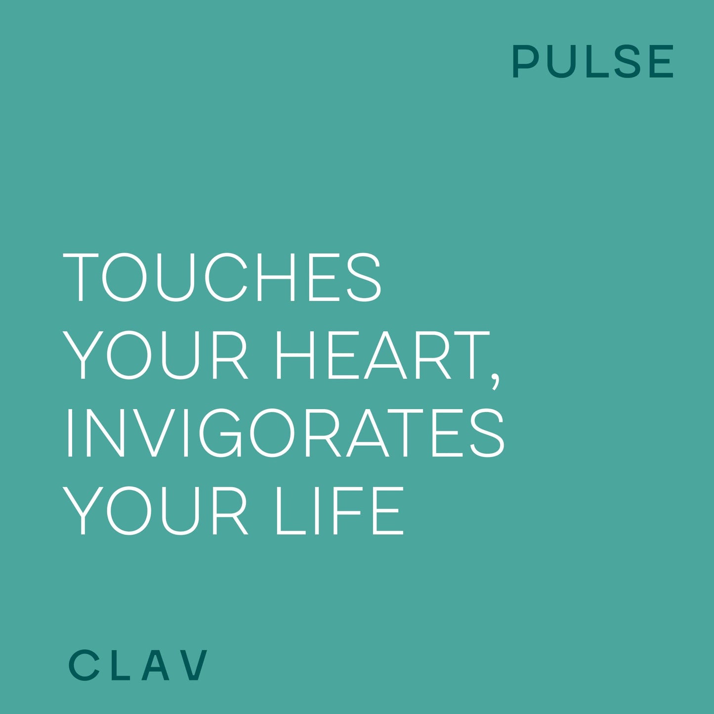 CLAV Premium Blood Pressure Support Capsule 120 Capsules