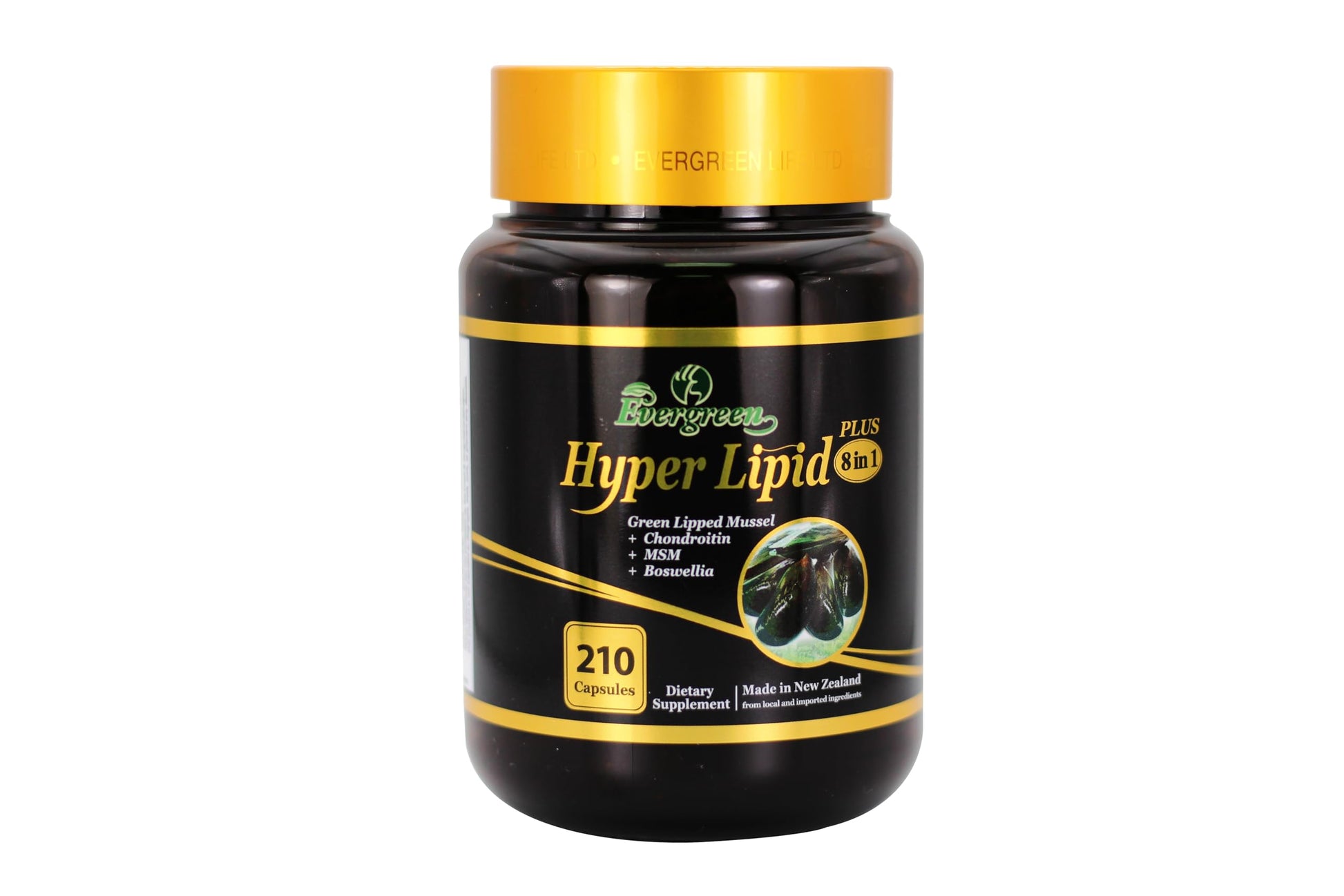 EverGreen Hyper Lipid 9000 Plus Softgel 210