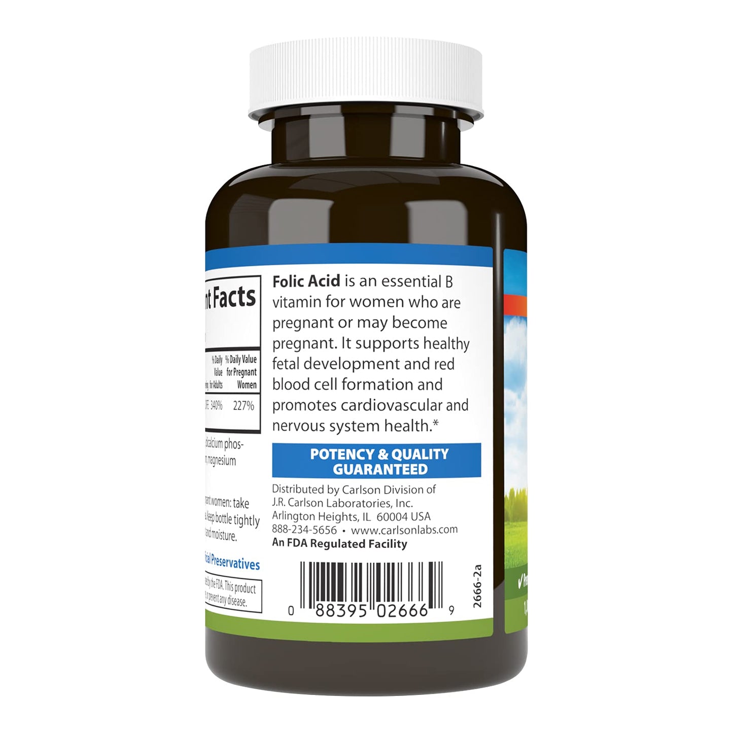 Carlson Folic Acid 800 mcg Tablet, 1000 Count