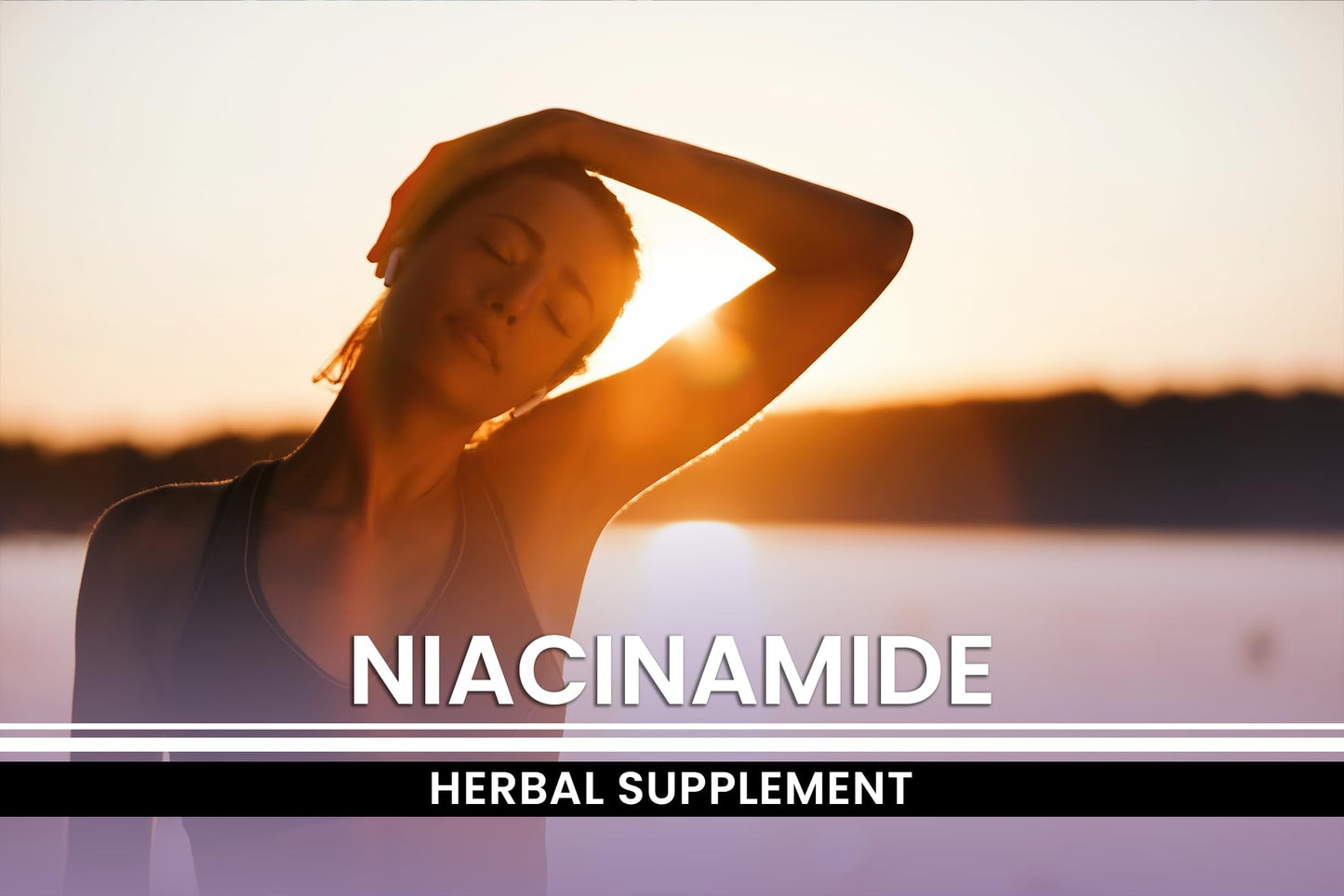 PURE ORIGINAL INGREDIENTS Niacinamide Capsules 730