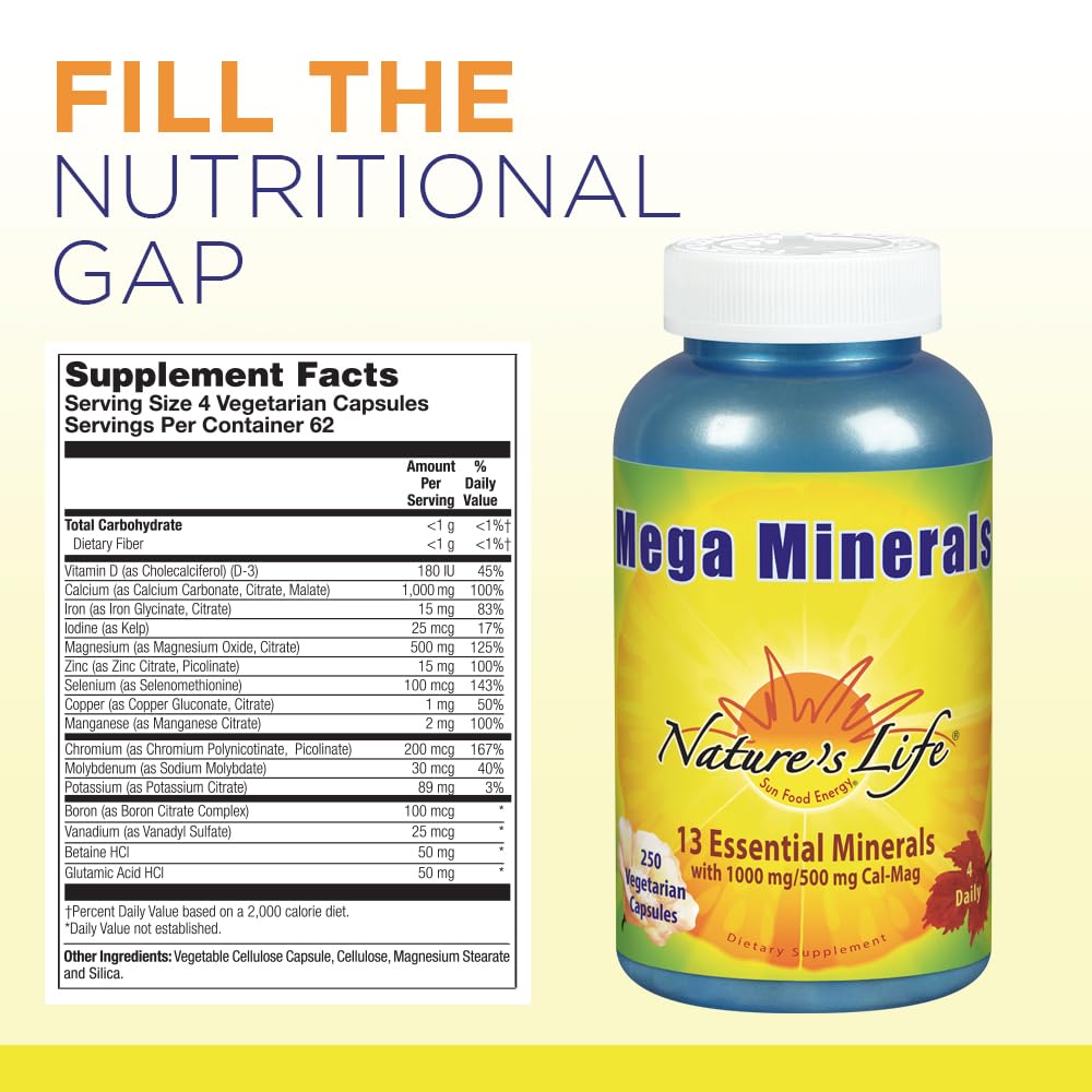 Nature's Life Mega Minerals Complex 250 Tablets