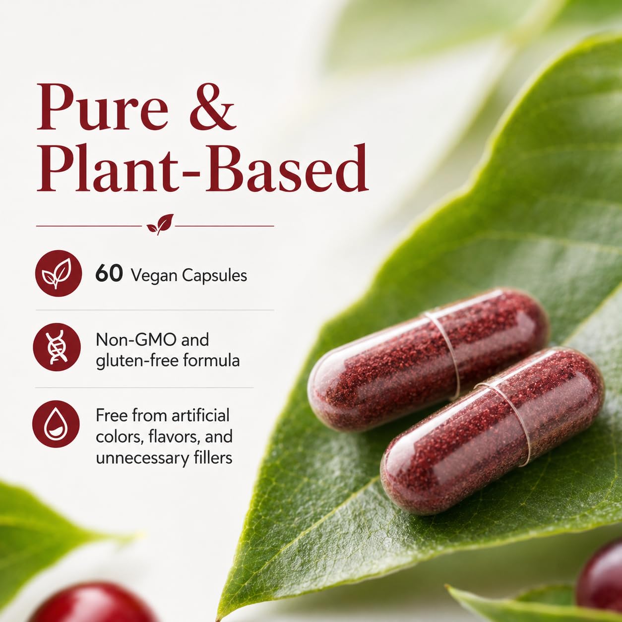 Vitalleap GoodGrove Tart Cherry Extract Capsules, 60 Count