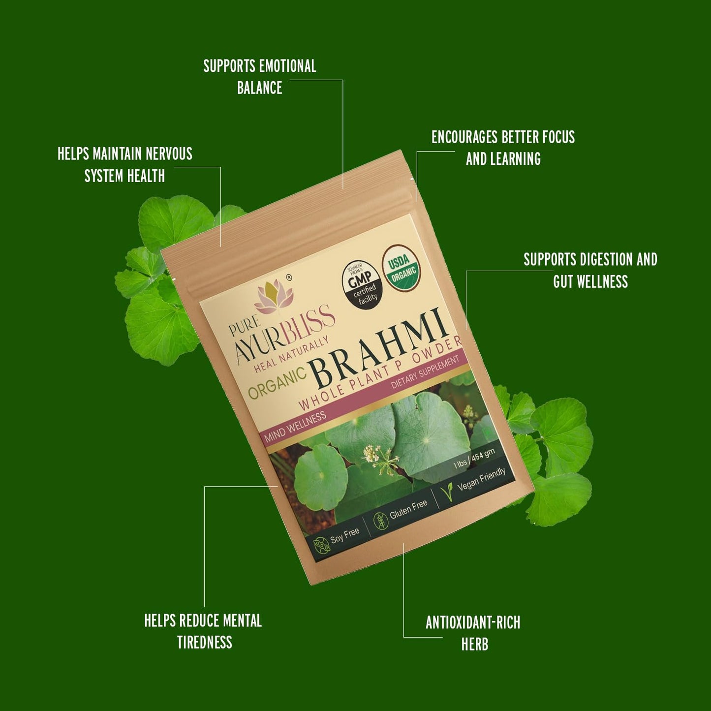 PureAyurbliss 100% Organic Brahmi Powder, 16oz