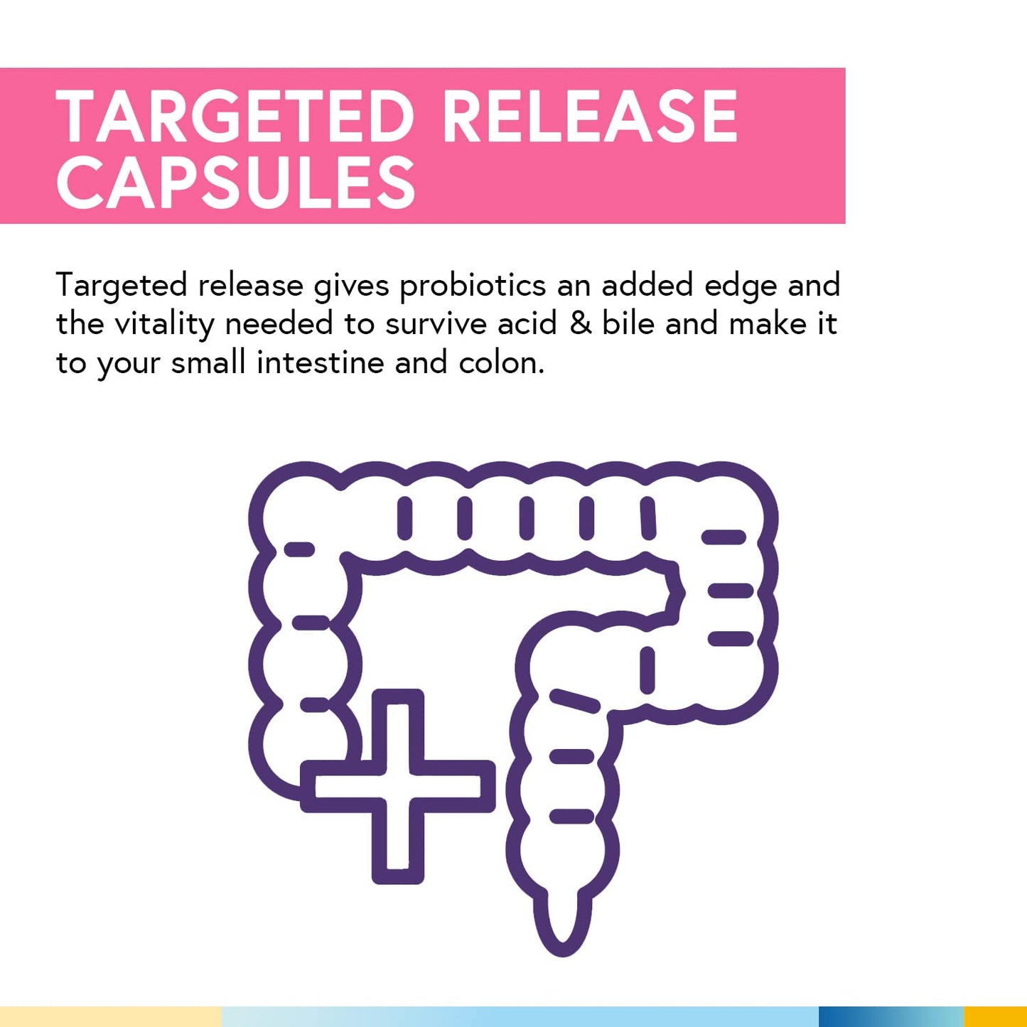 Terranics Daily Probiotics for Women, 200 Billion 32 Strains Womens Probiotics, with Cranberry, Prebiotics & Enzymes, Rebalance Vaginal Flora & pH, Delayed Release, Shelf Stable, 60 Vegan Capsules