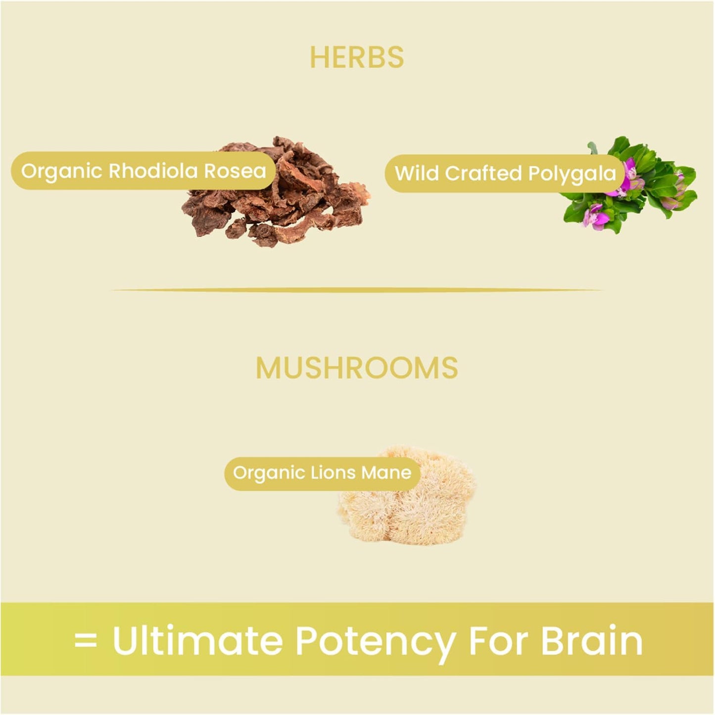 Non Fungible Mushrooms Mind Adaptogenic Mushroom Powder 2.12 oz